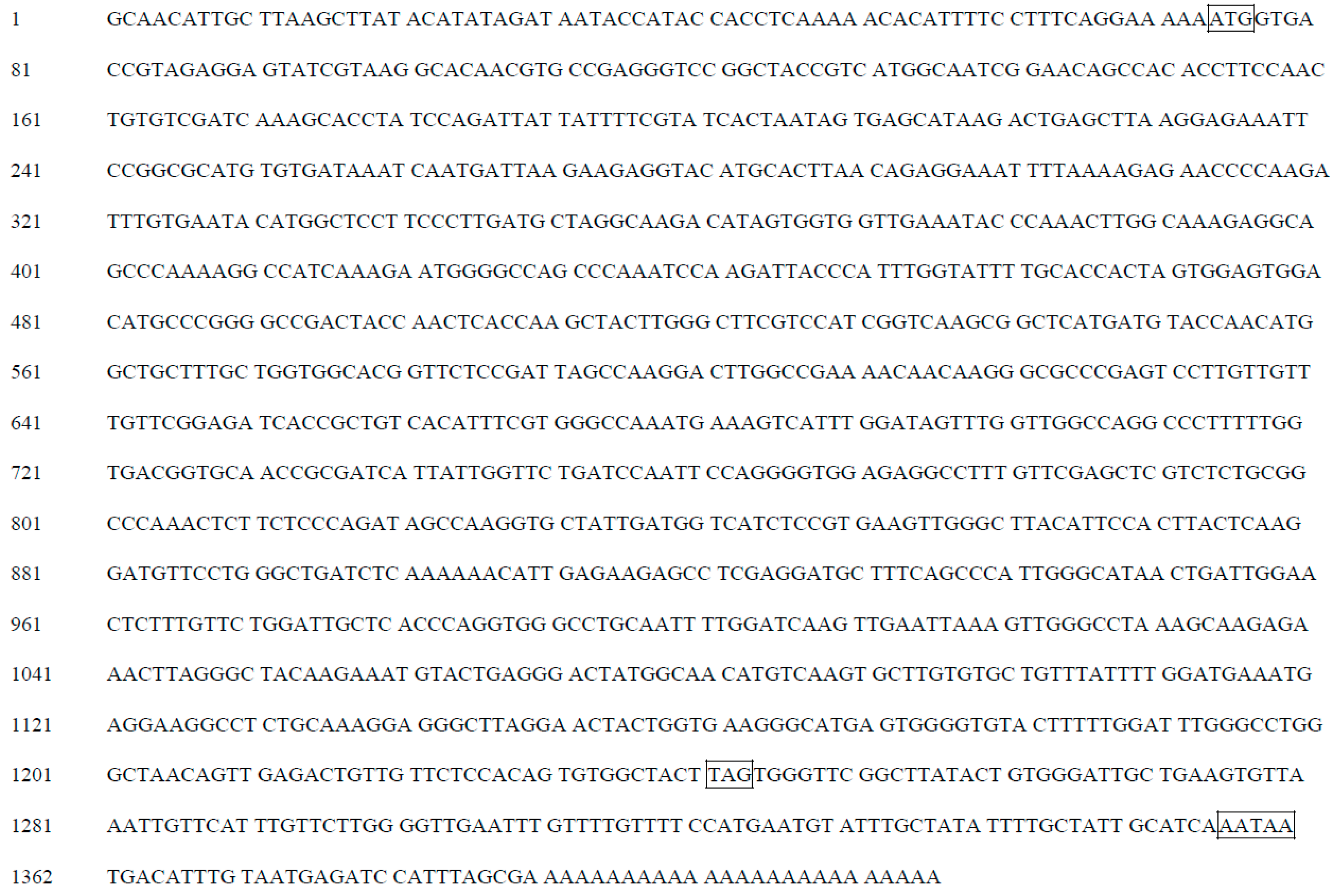 aaaaaaaa essay aaaaaaaa essay
