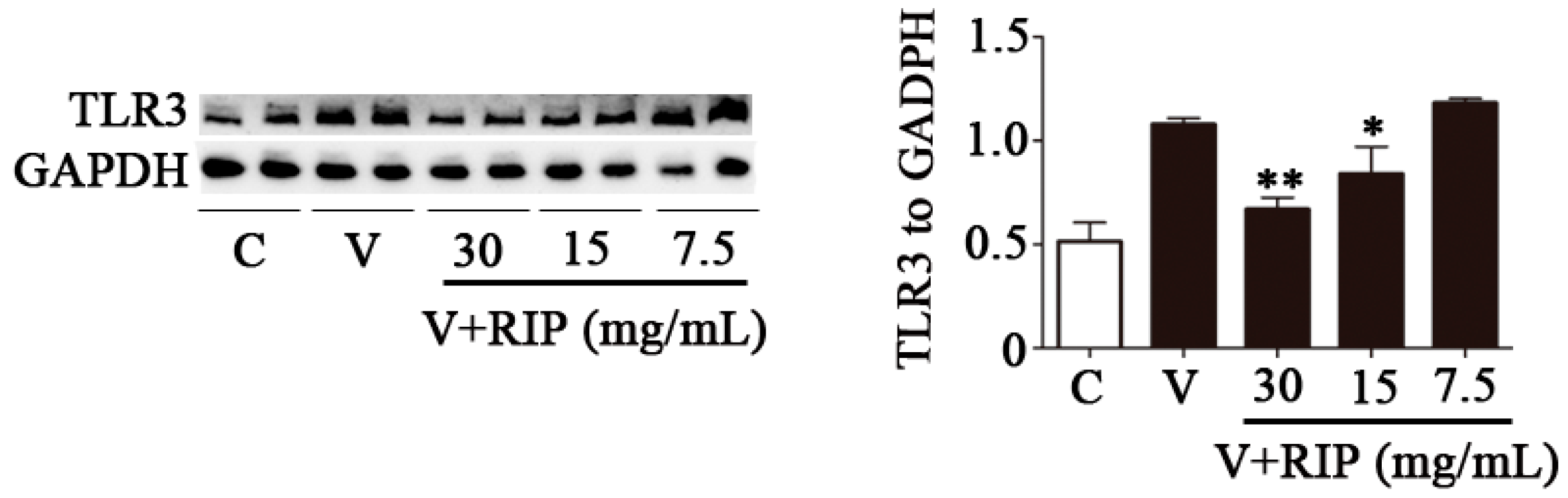 Molecules 22 00116 g003