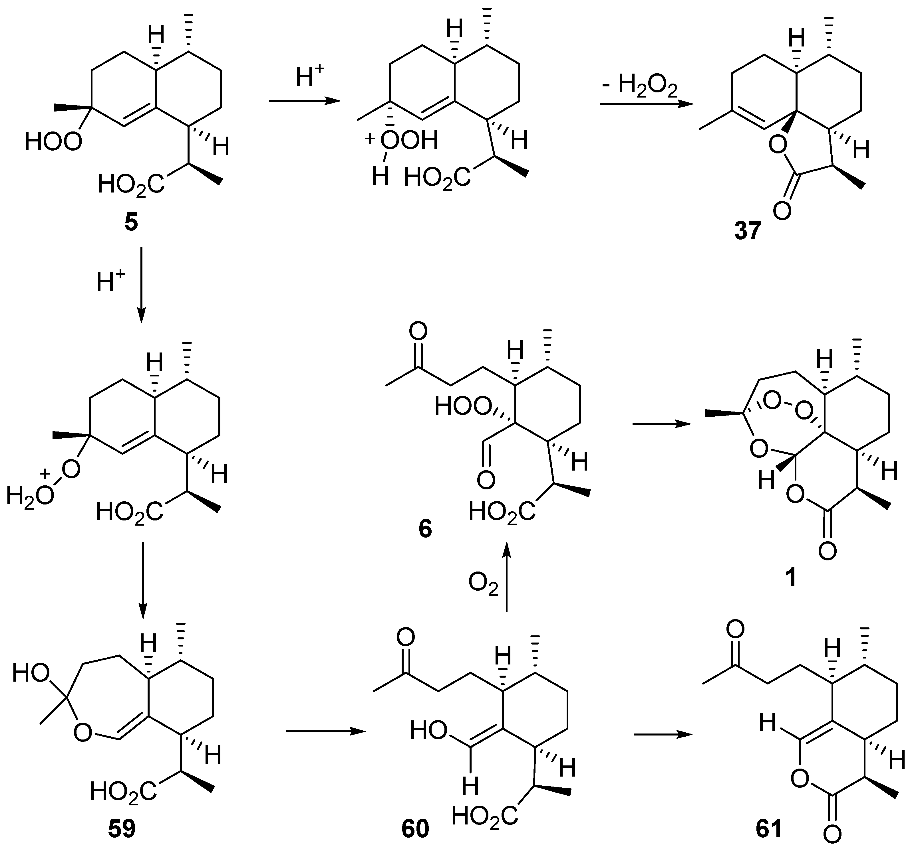 Molecules 22 00117 sch014