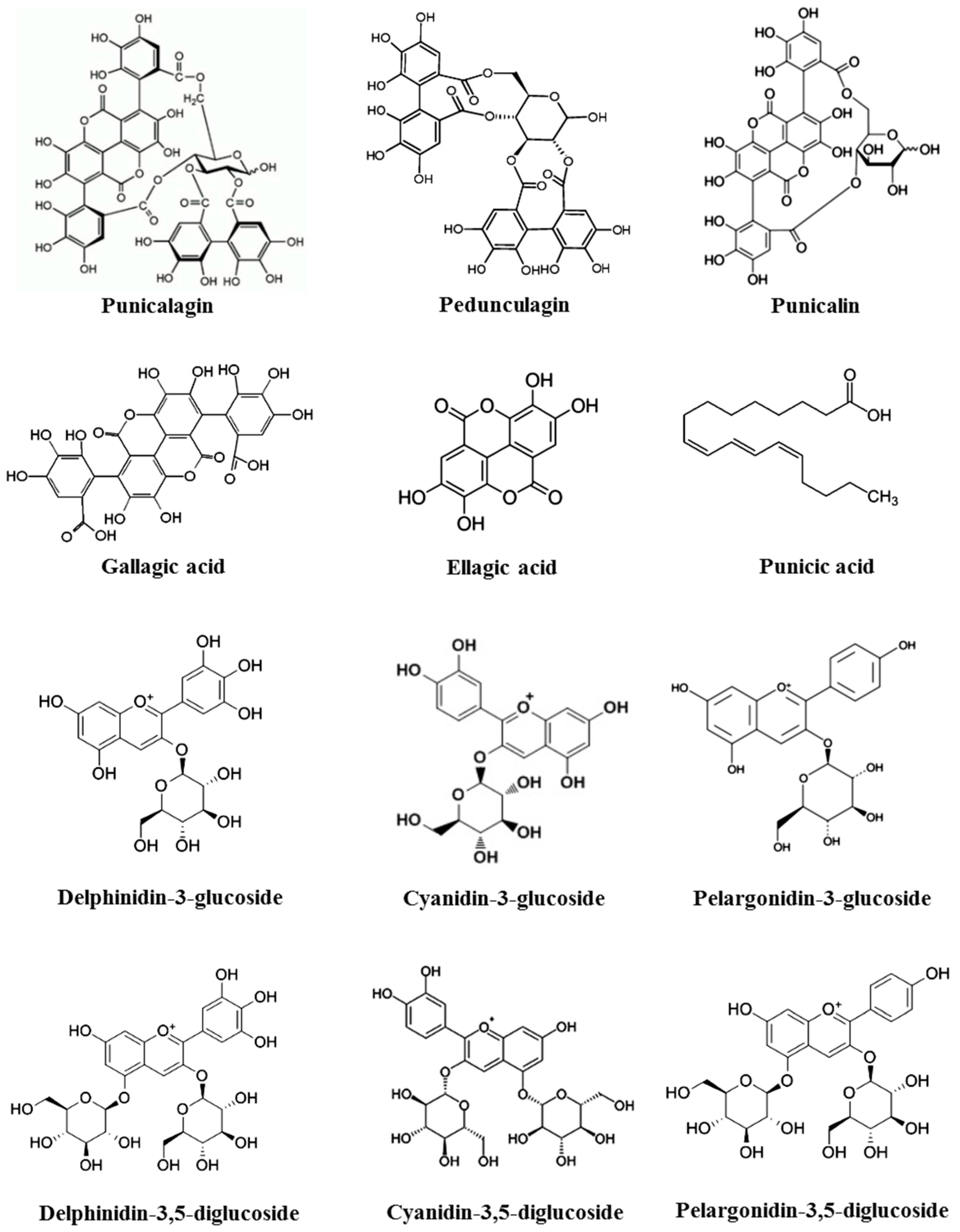Molecules 22 00177 g001