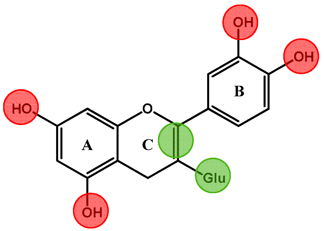 flavonoids and brain health multiple