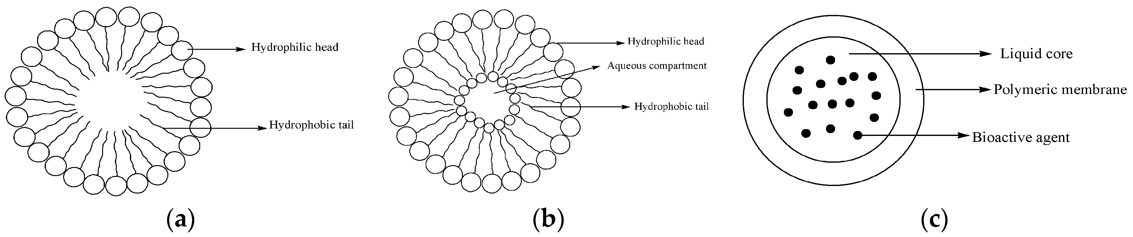 Molecules 22 00323 g011