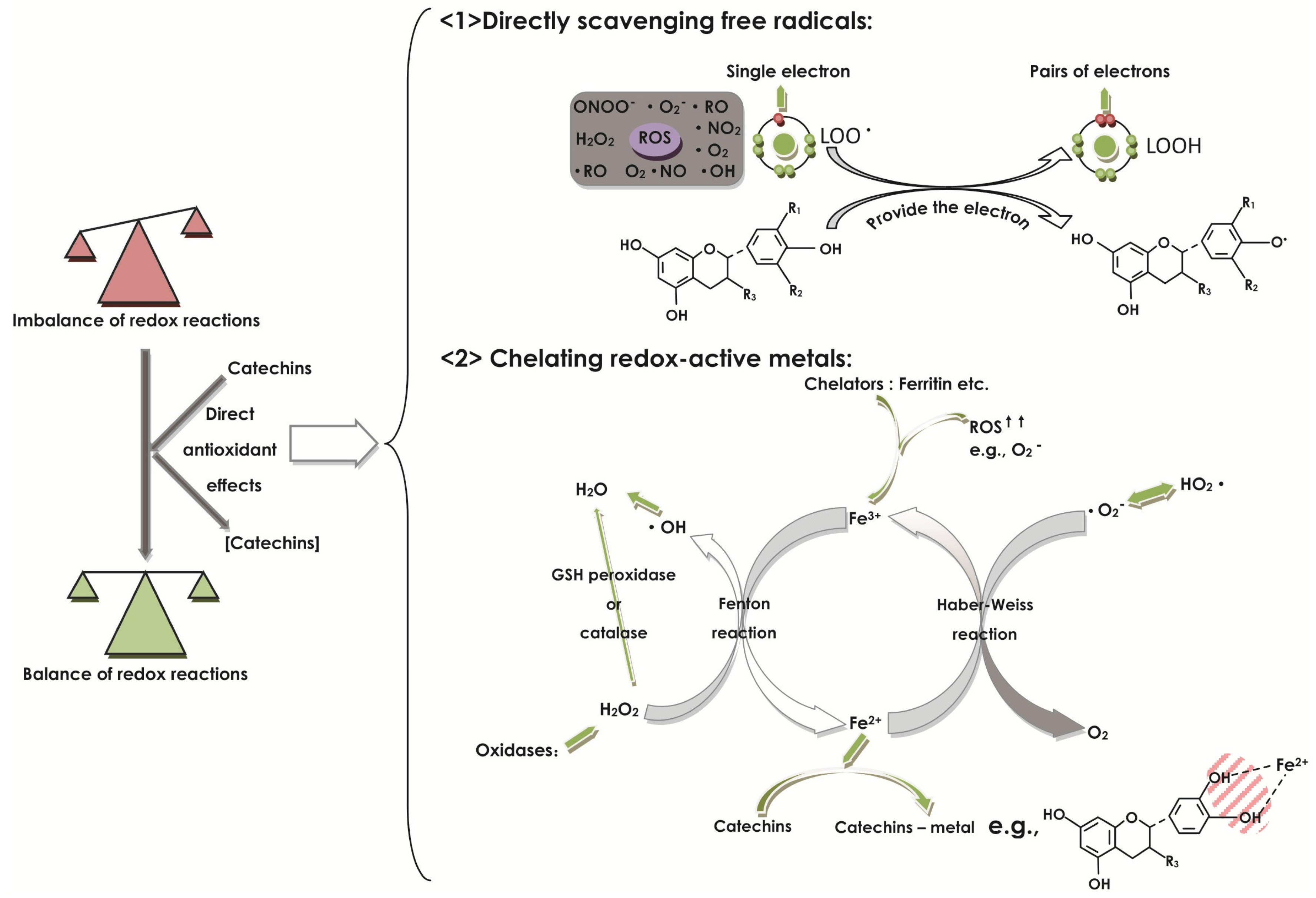 Molecules 22 00484 g004