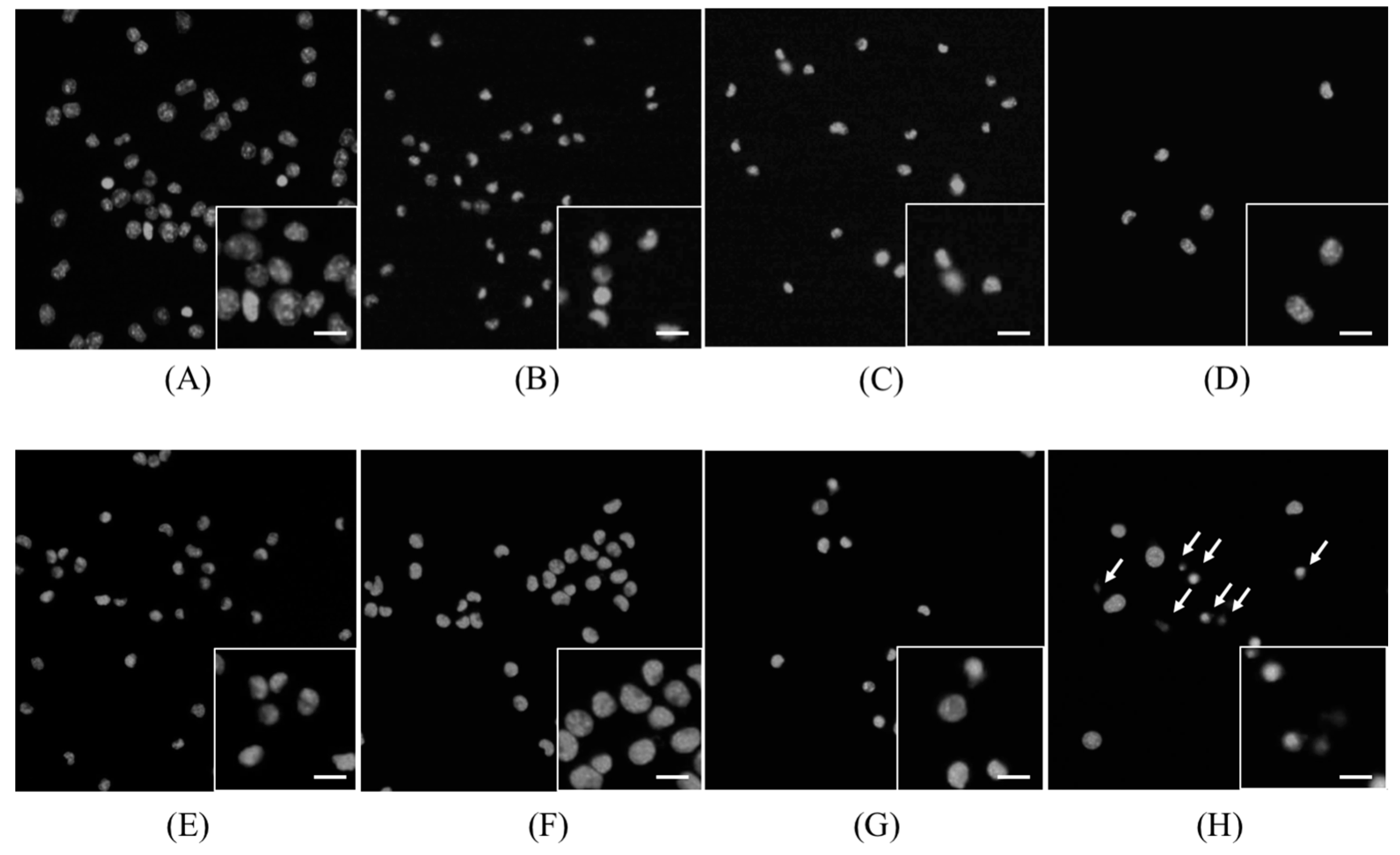Molecules 22 00533 g003