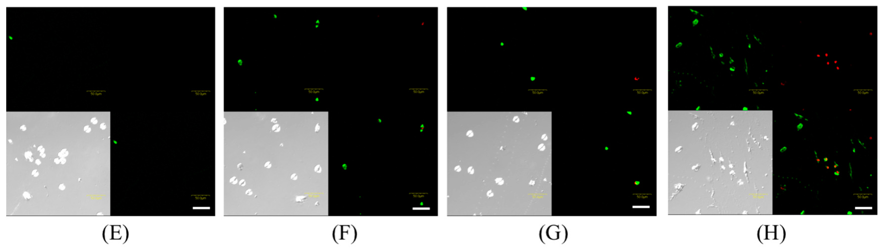 Molecules 22 00533 g004b