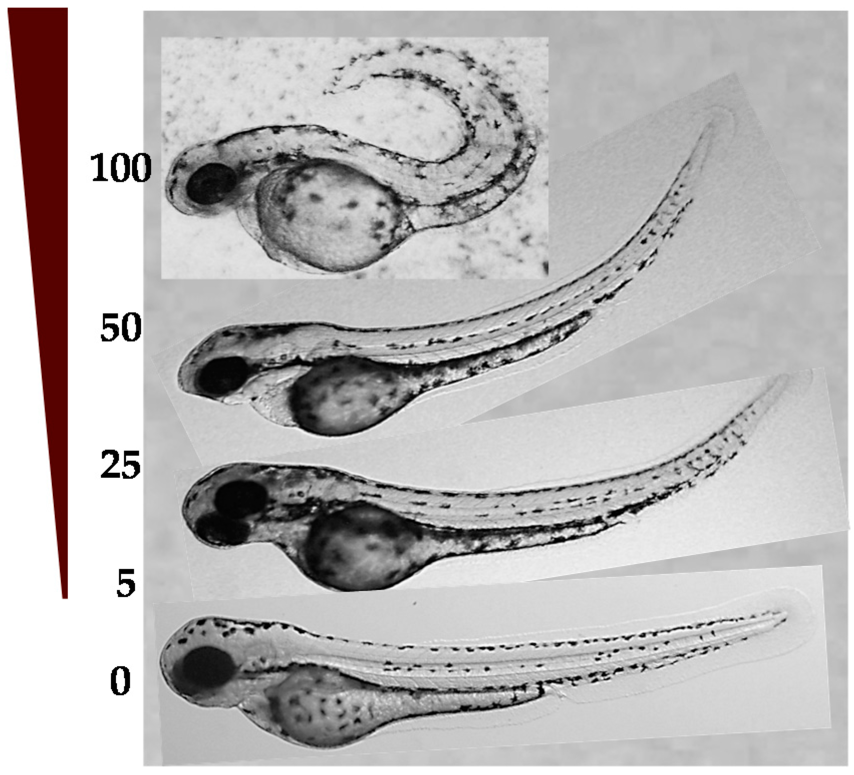 Molecules 22 00709 g007