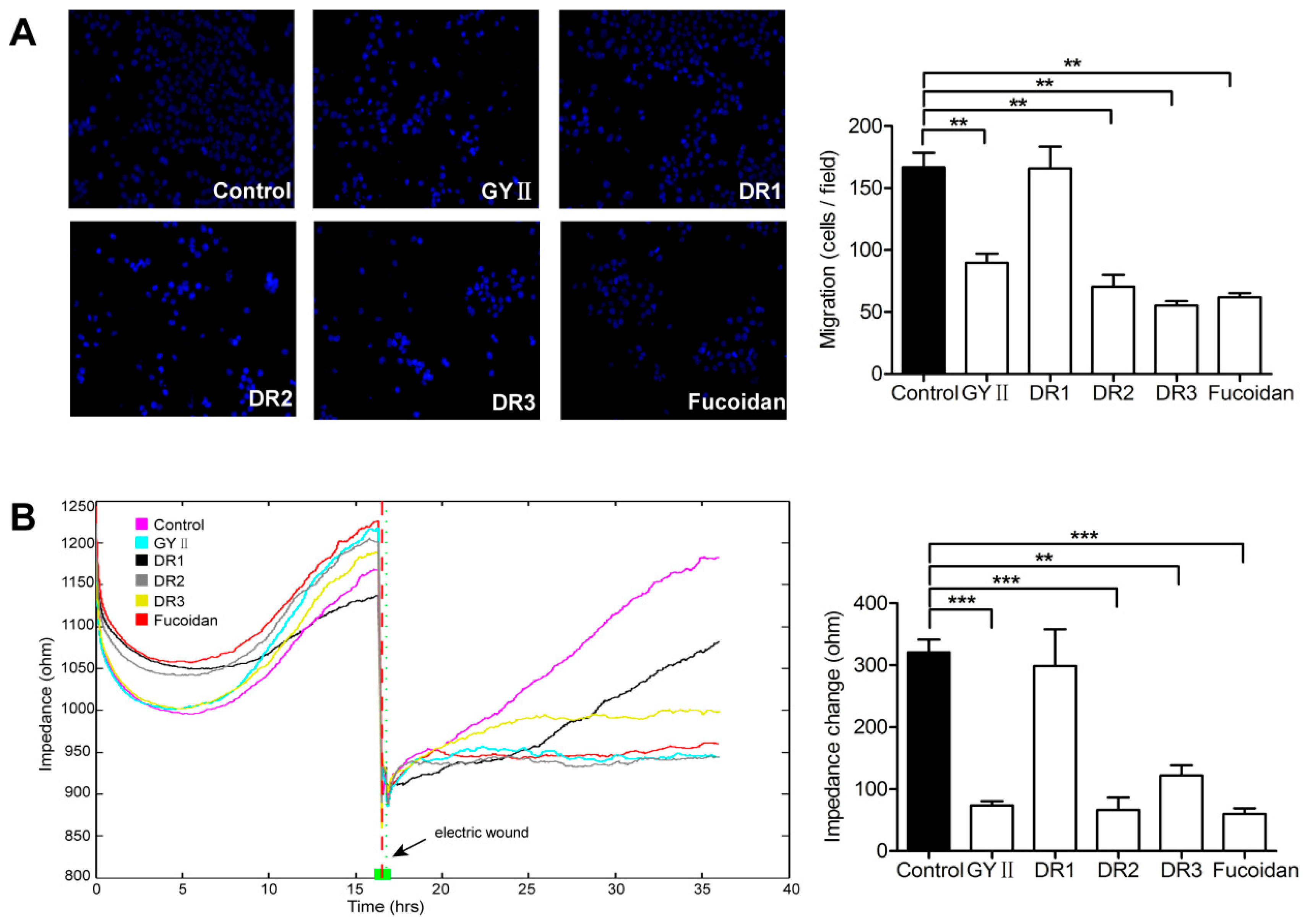 Molecules 22 00787 g005
