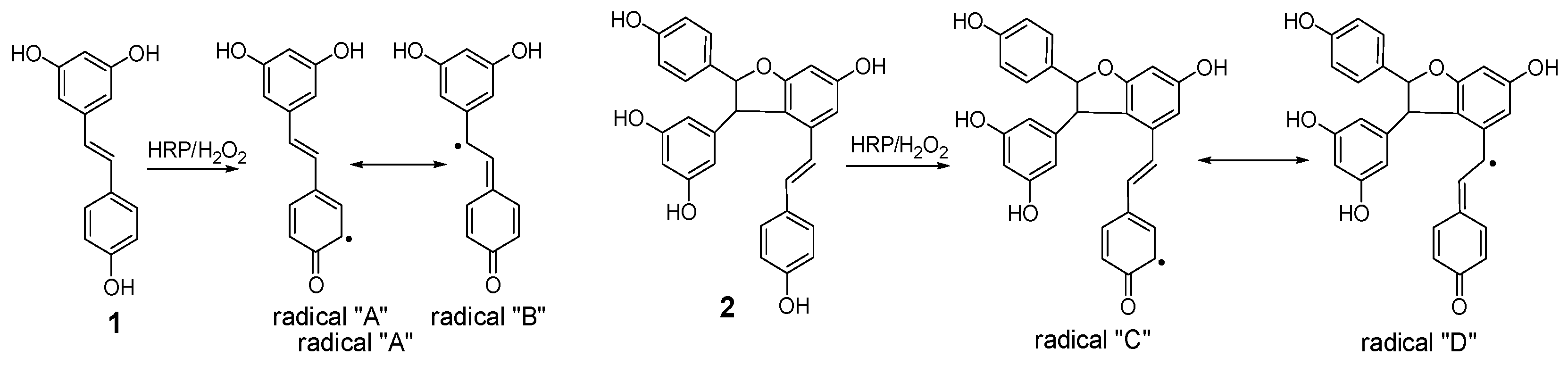 Molecules Free FullText Biomimetic Synthesis of Resveratrol