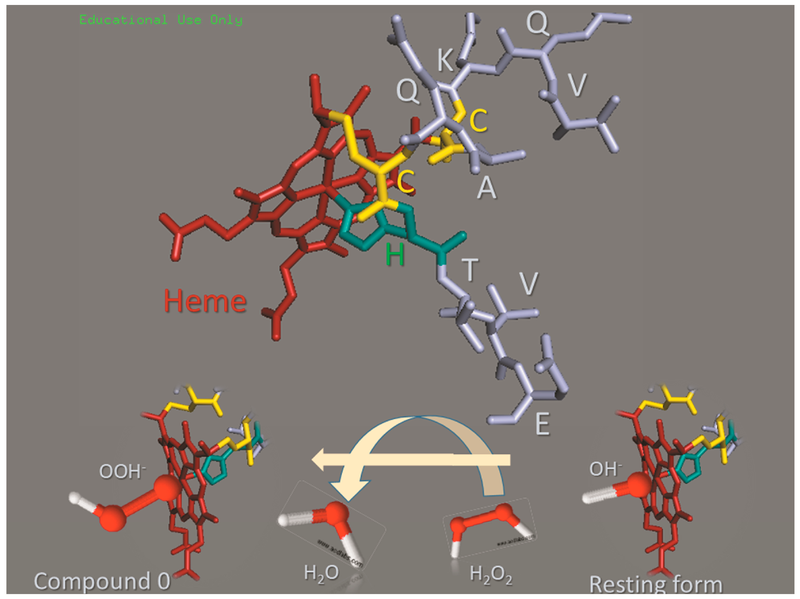 Molecules 22 01212 g001