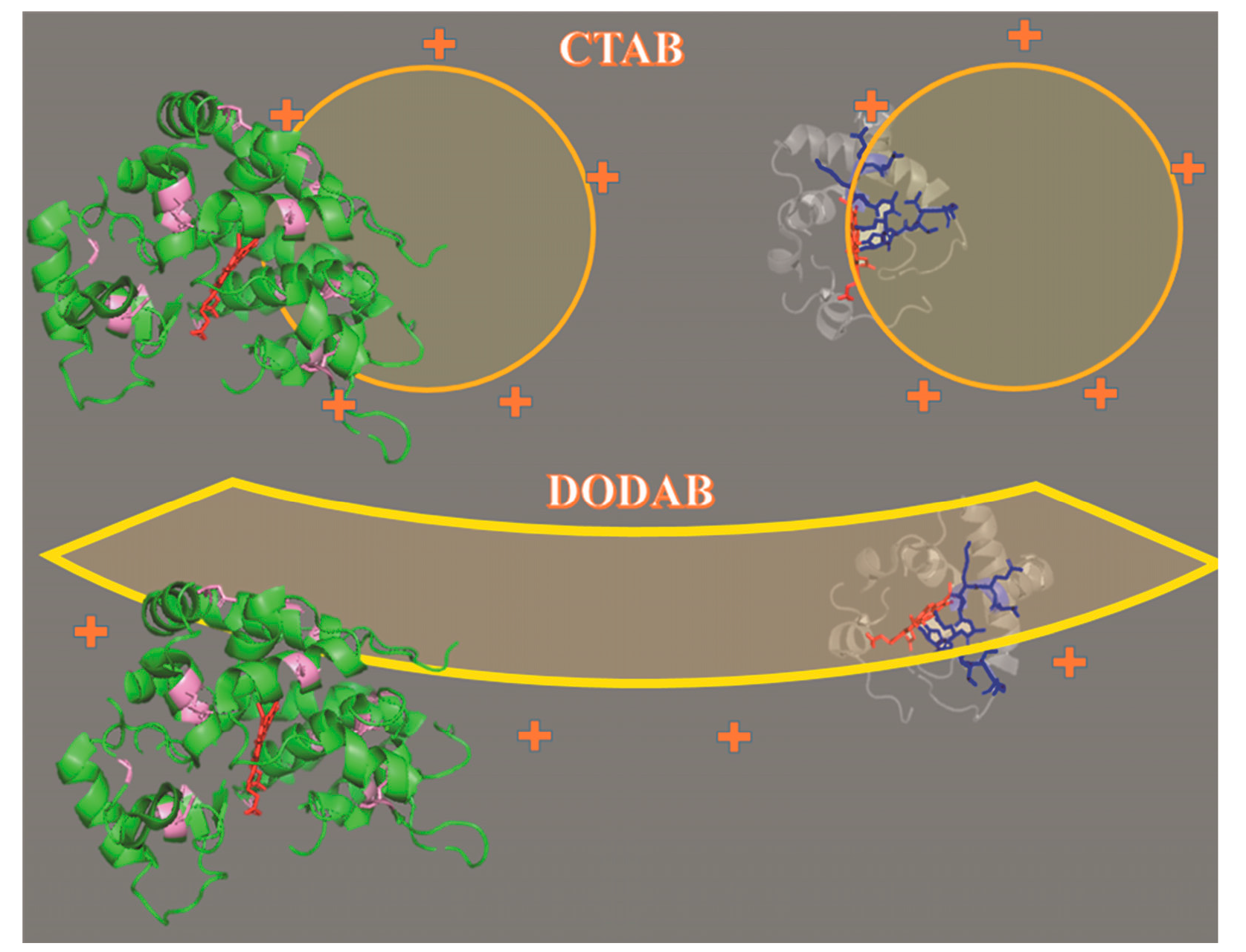 Molecules 22 01212 g010