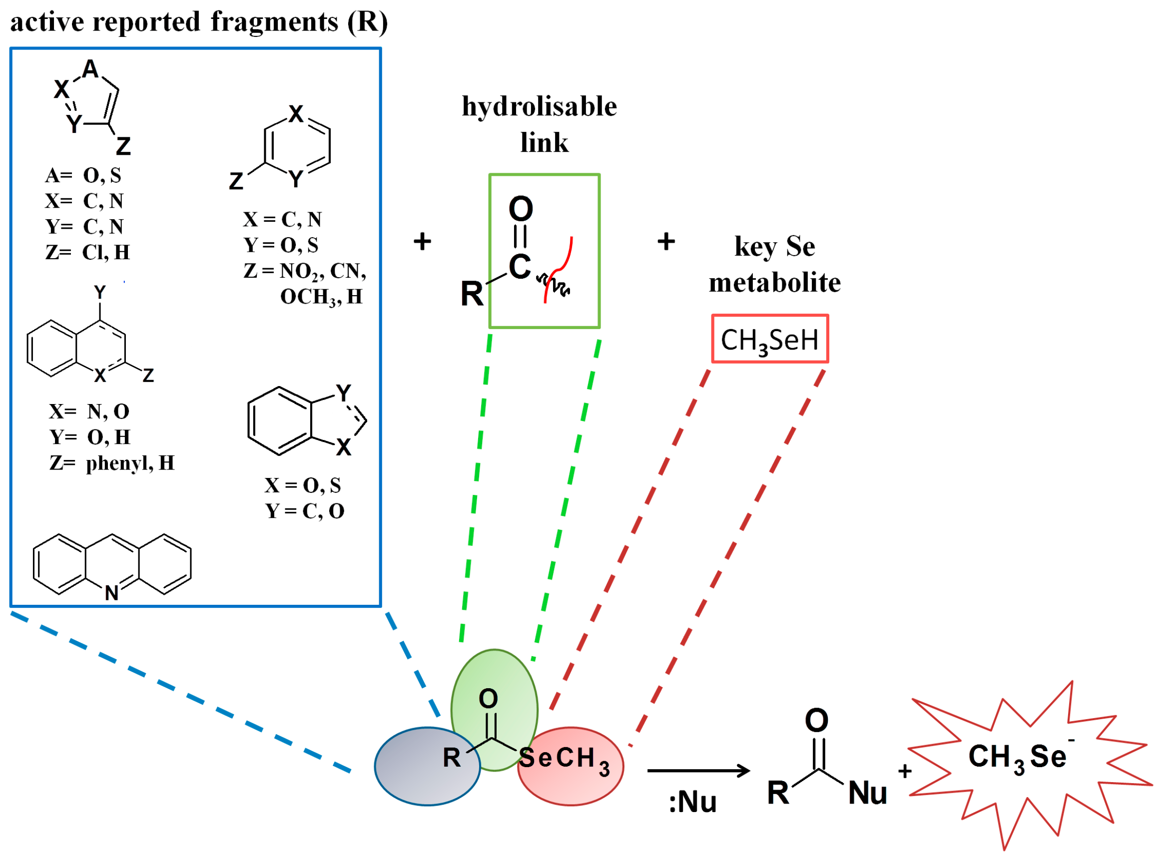 Molecules 22 01288 g001