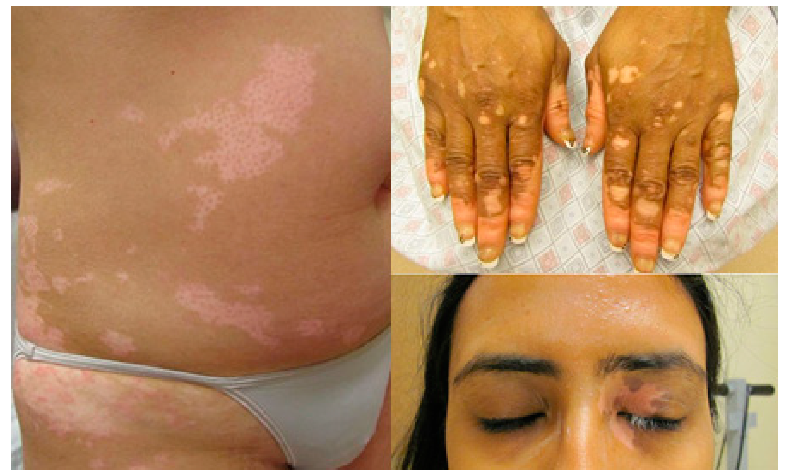 Molecules 22 01303 g001