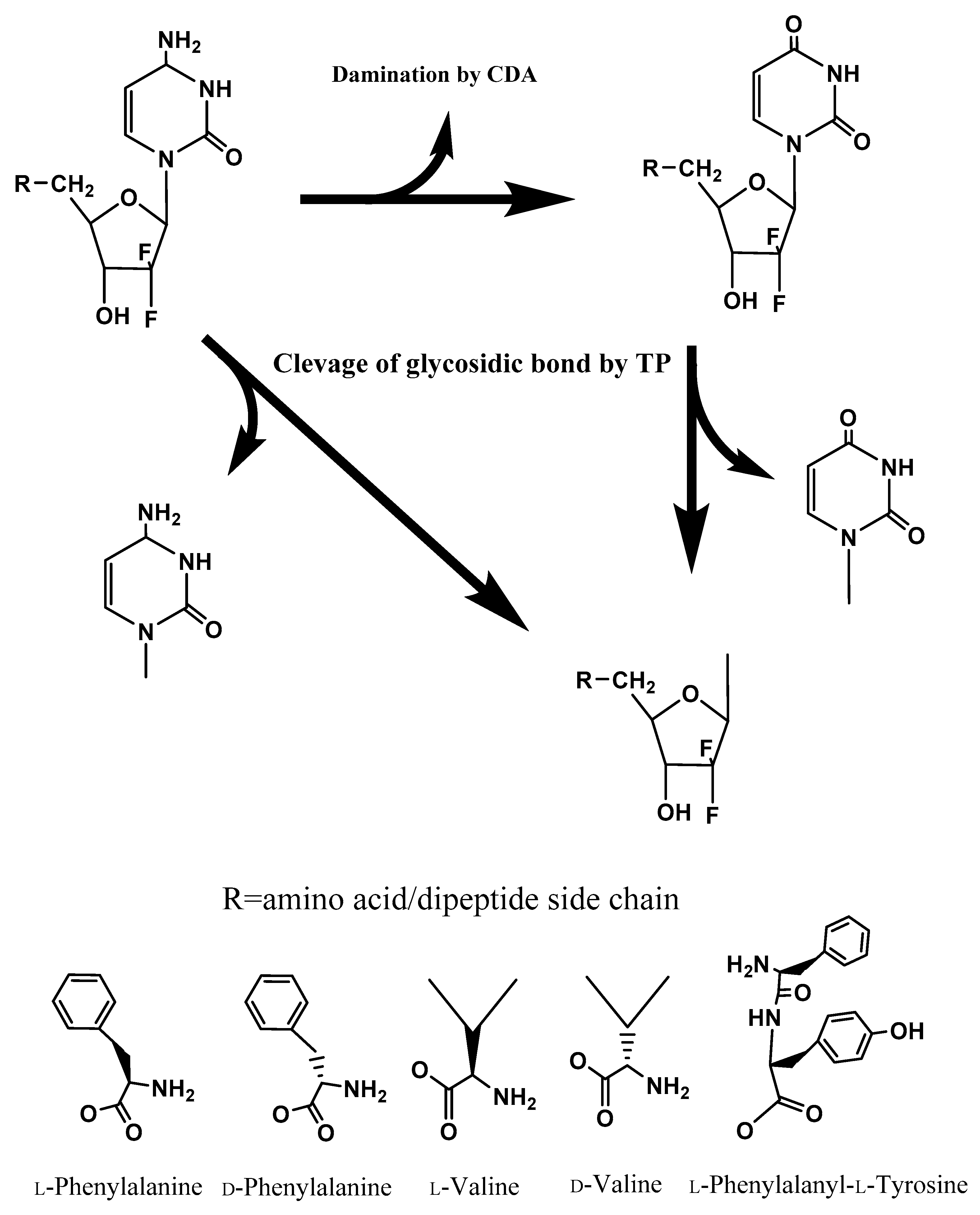 amino acids research paper Full length research paper impacts of vitamin a and essential amino acids on growth performance, survivability, carcass characteristics and profitability of a. amino acids research paper Full length research paper impacts of vitamin a and essential amino acids on growth performance, survivability, carcass characteristics and profitability of a.