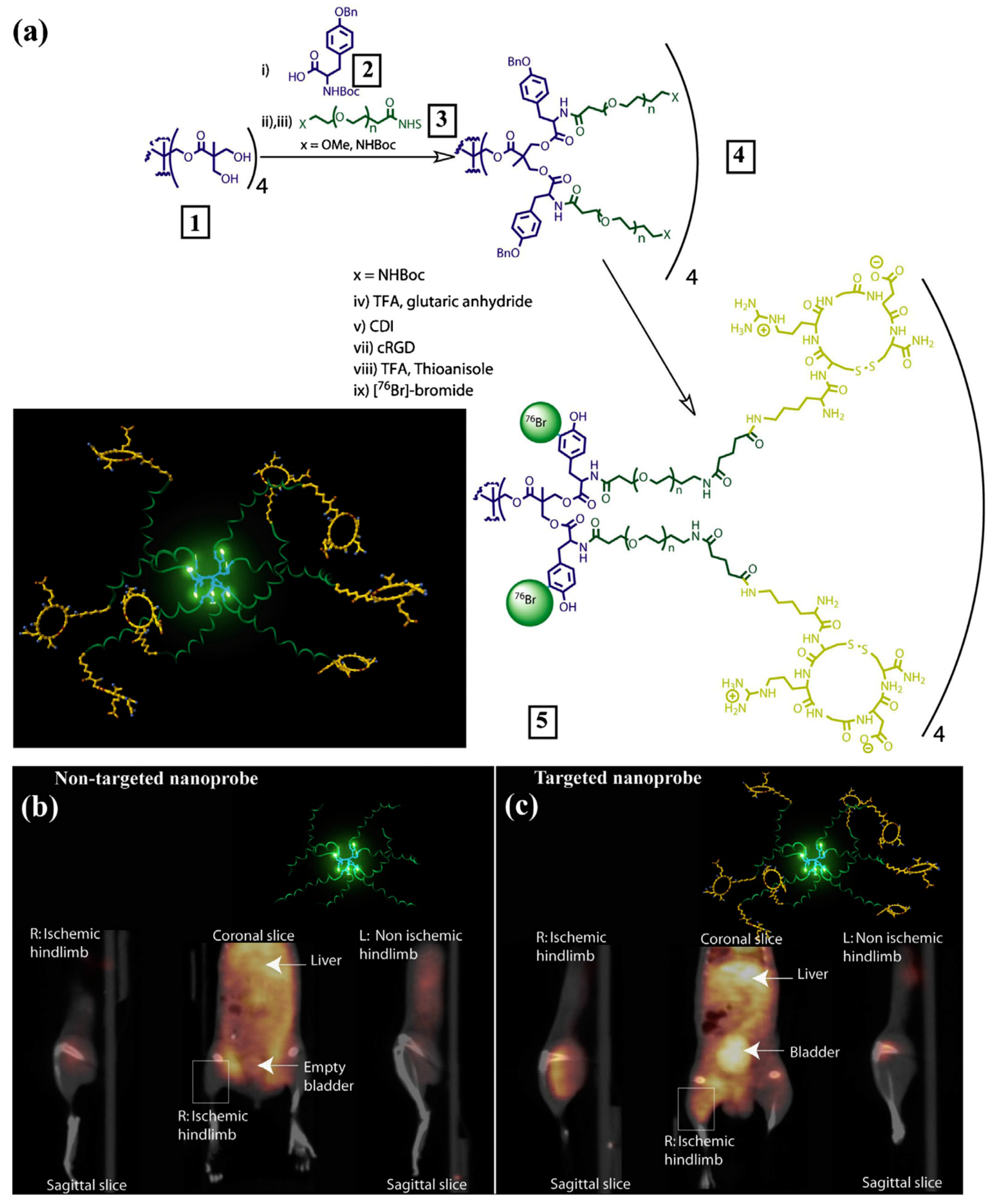 Molecules 22 01350 g005