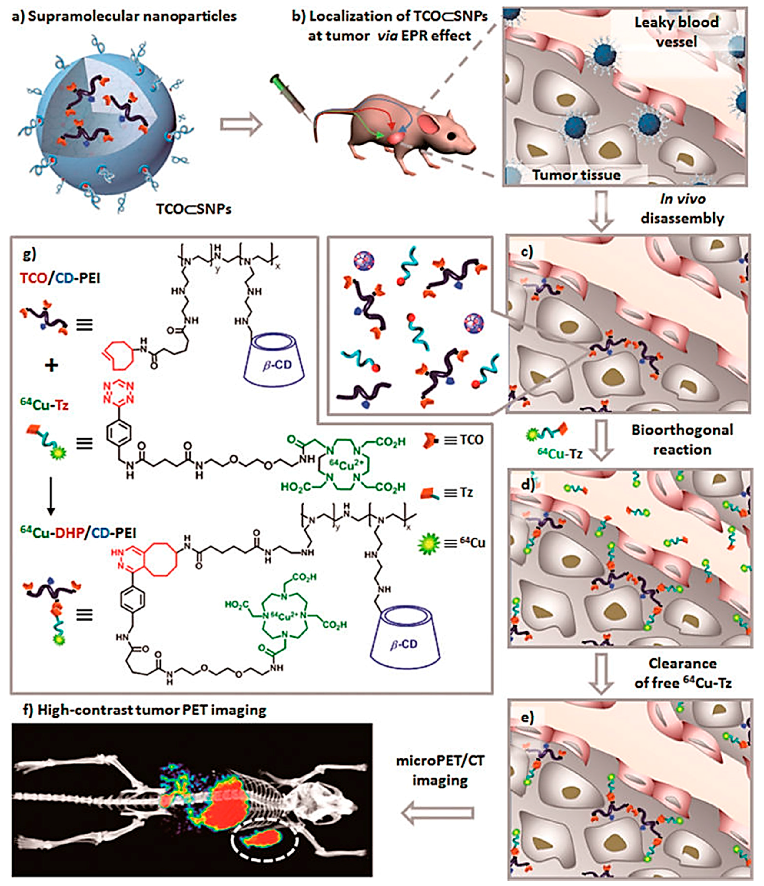 Molecules 22 01350 g007
