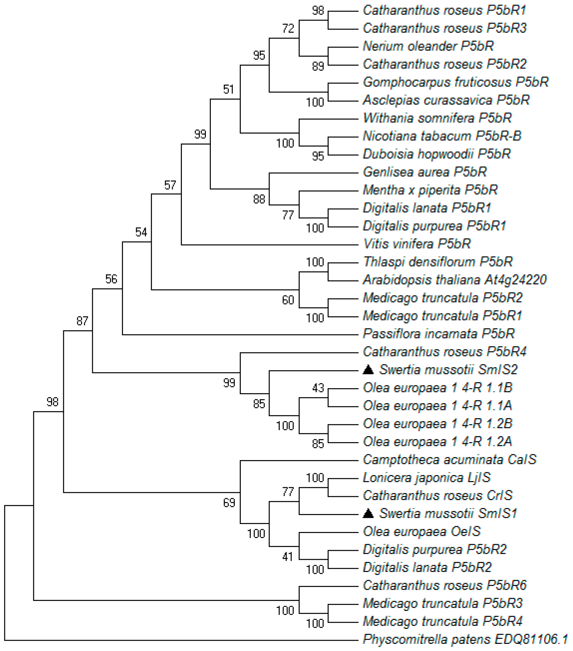 Molecules 22 01387 g004 Molecules 22 01387 g004