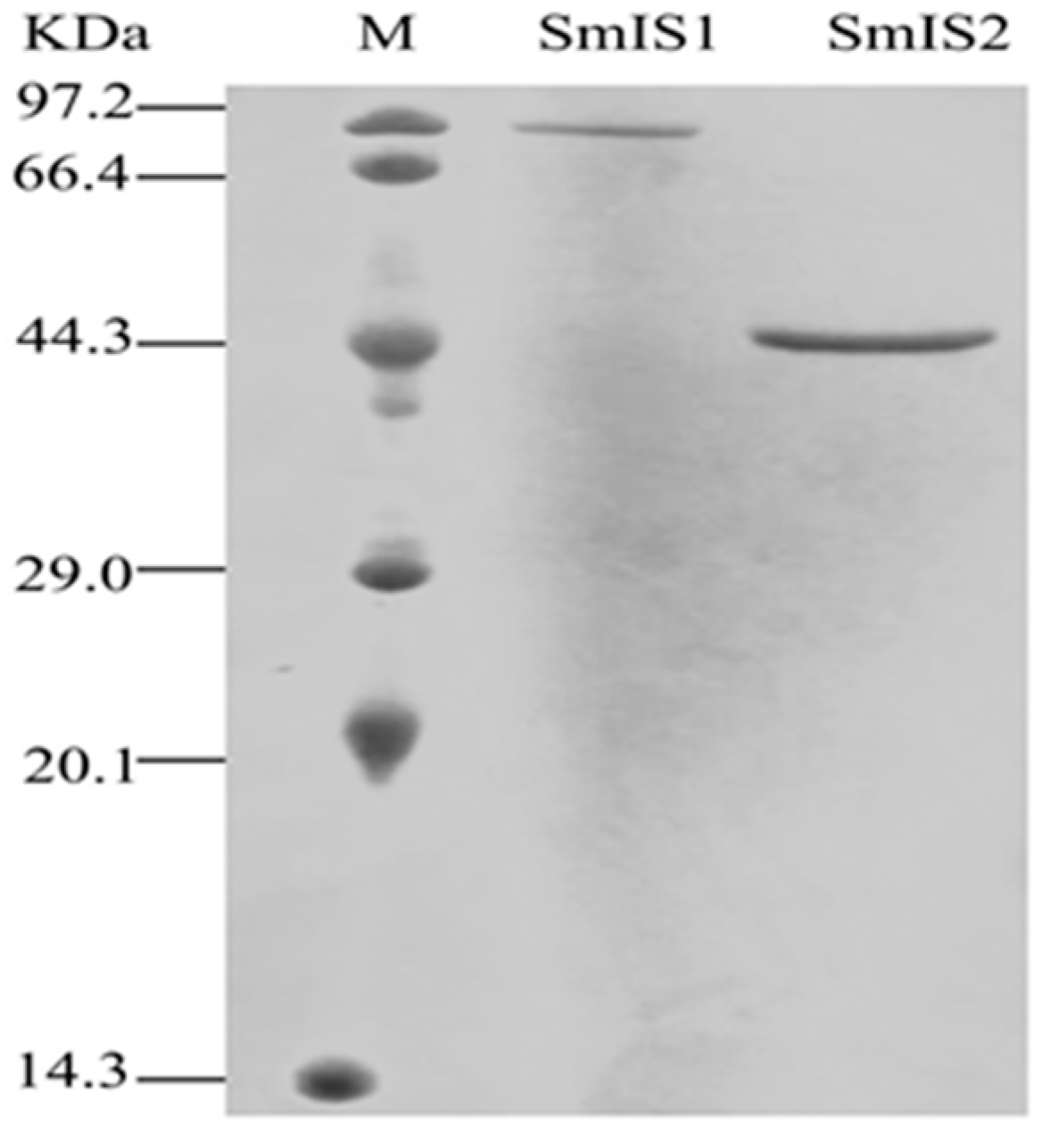 Molecules 22 01387 g005 Molecules 22 01387 g005