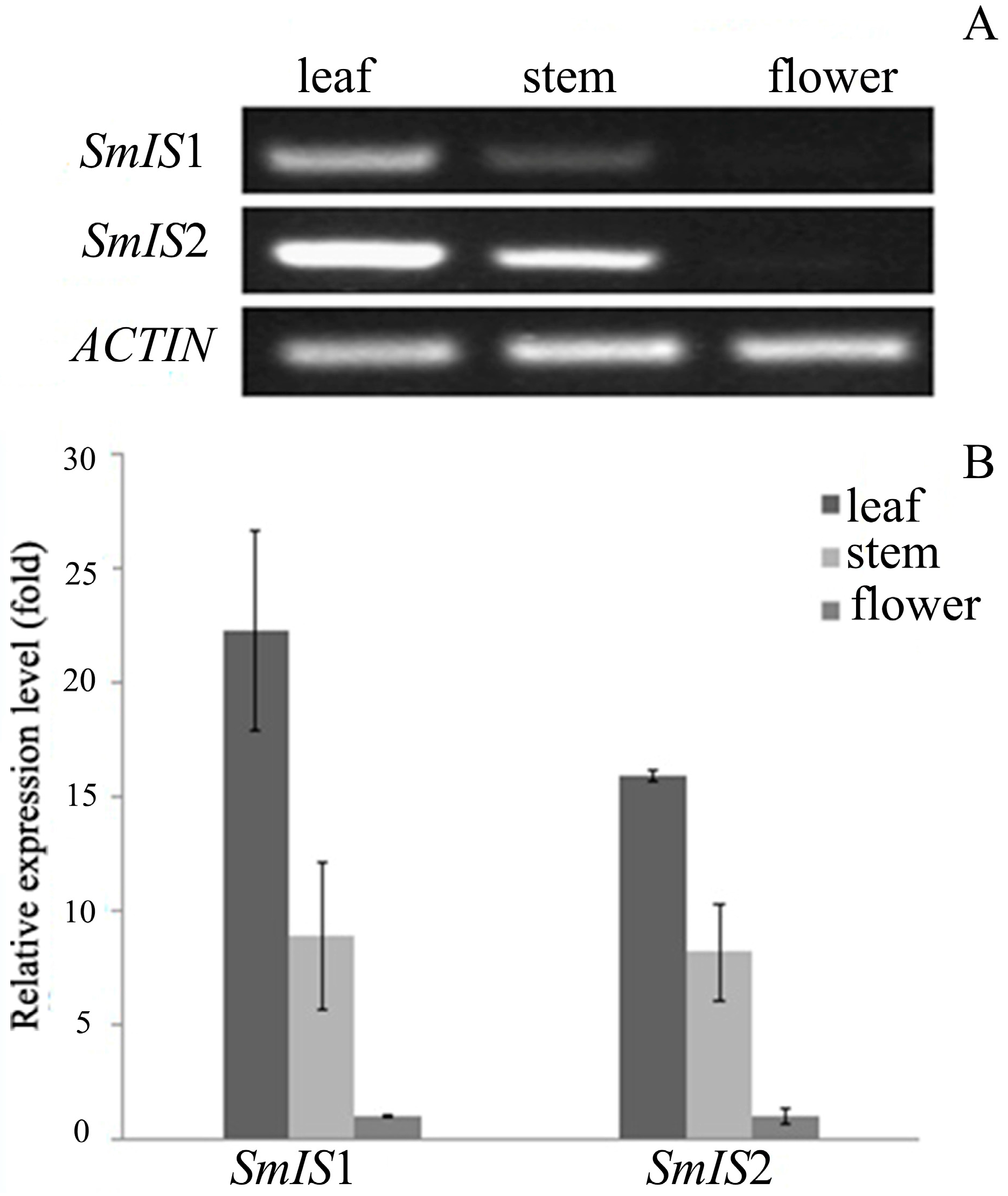Molecules 22 01387 g007 Molecules 22 01387 g007