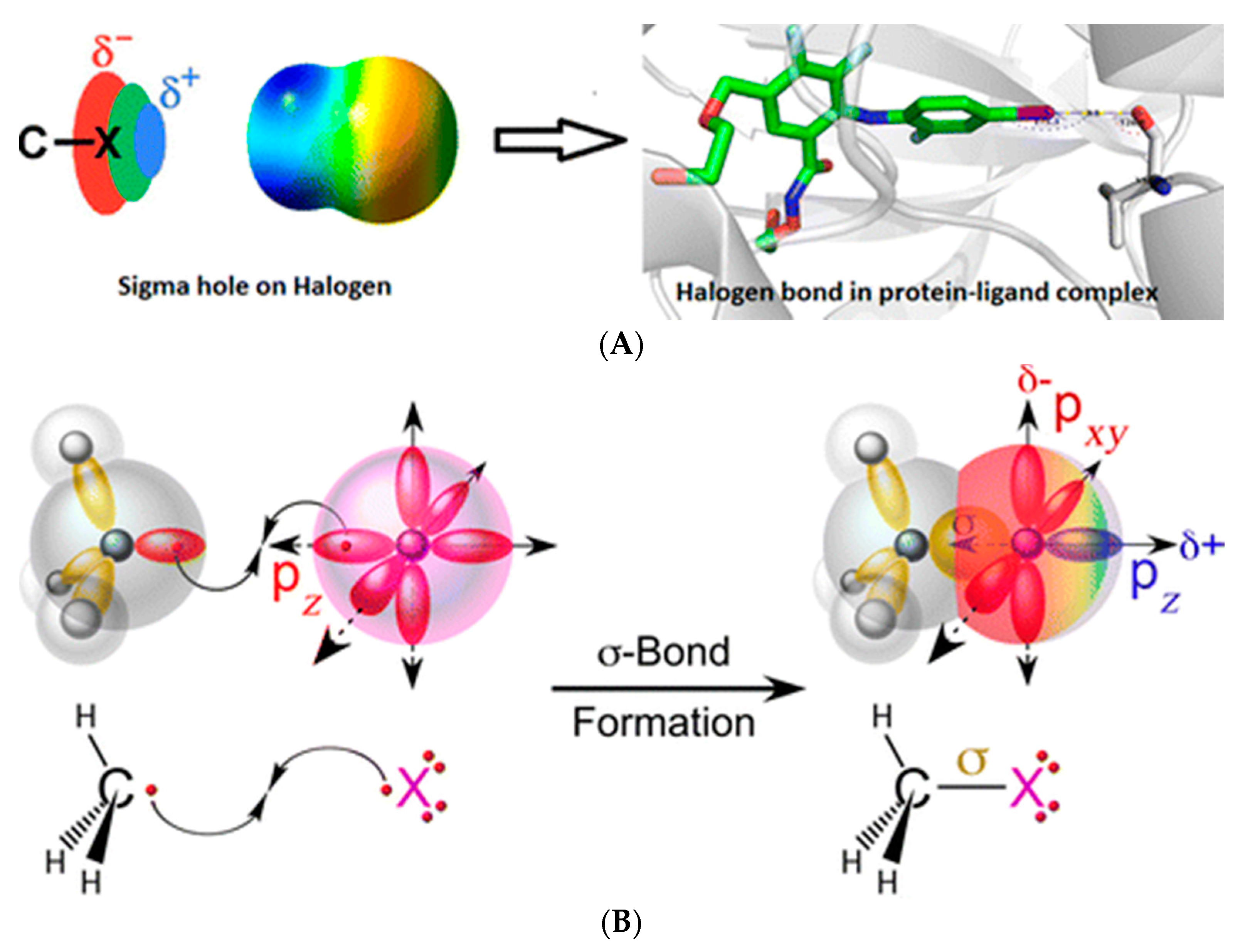 Molecules 22 01397 g001