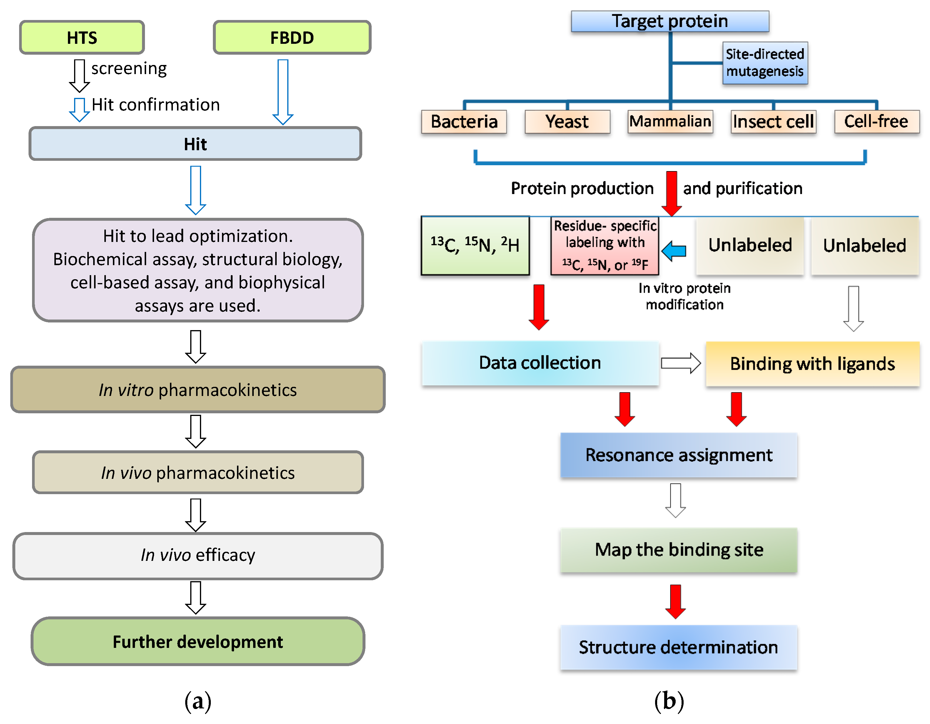 multiple regression a primer undergraduate research methods