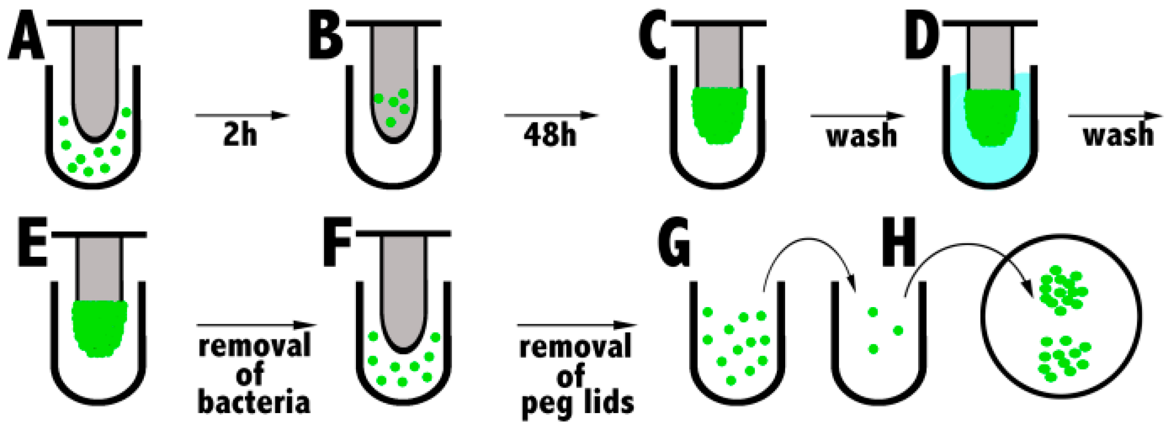 Molecules 22 01430 g005