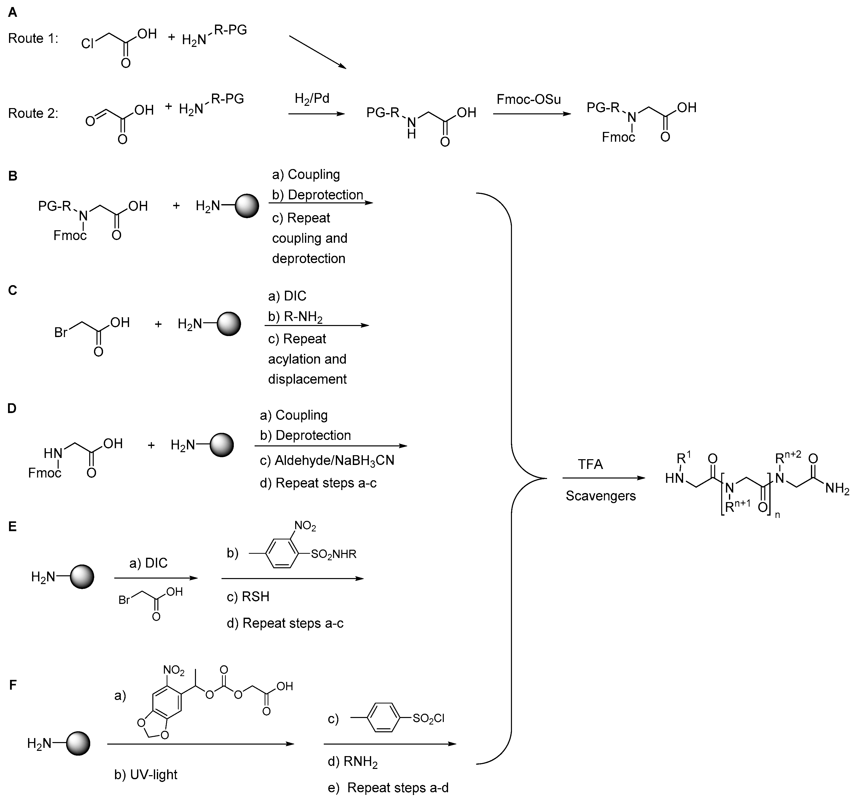Molecules 22 01430 sch001