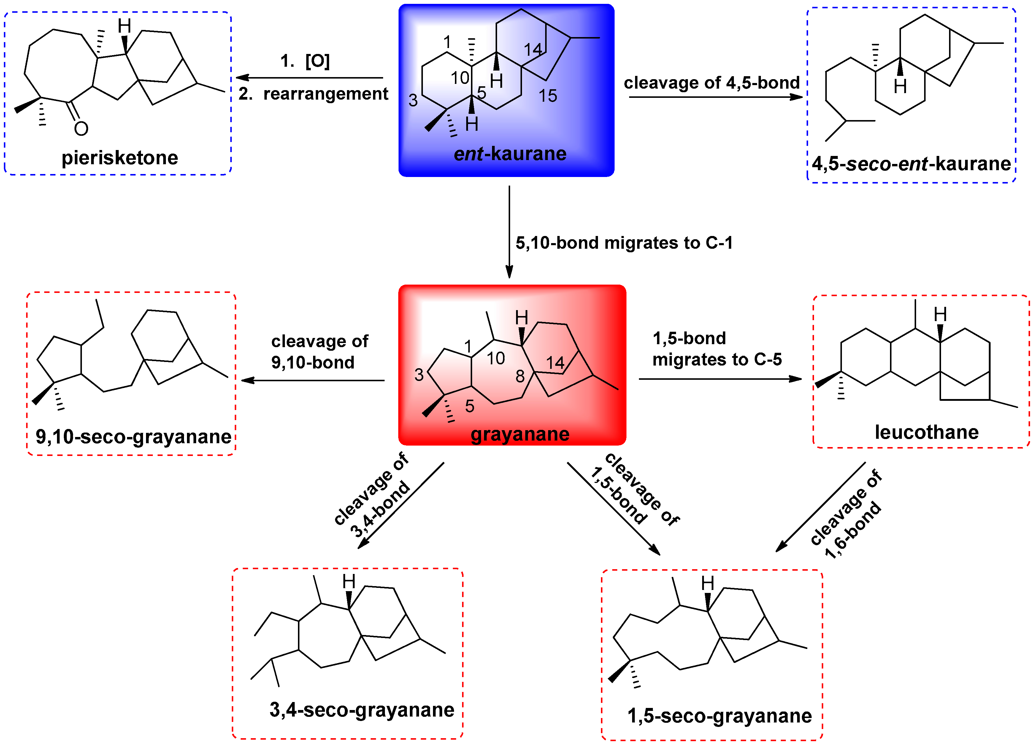 Molecules 22 01431 g001