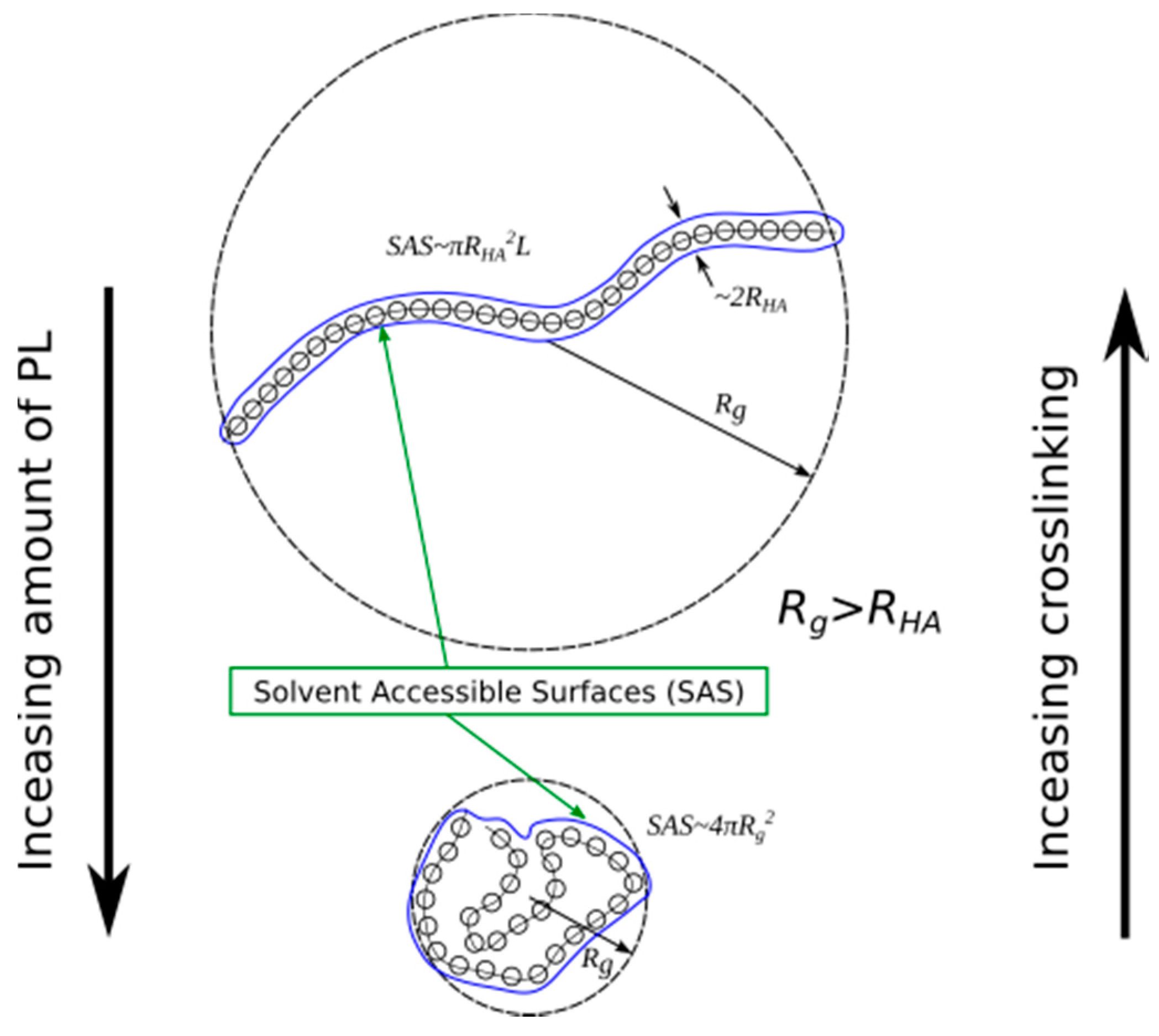 Molecules 22 01436 g014