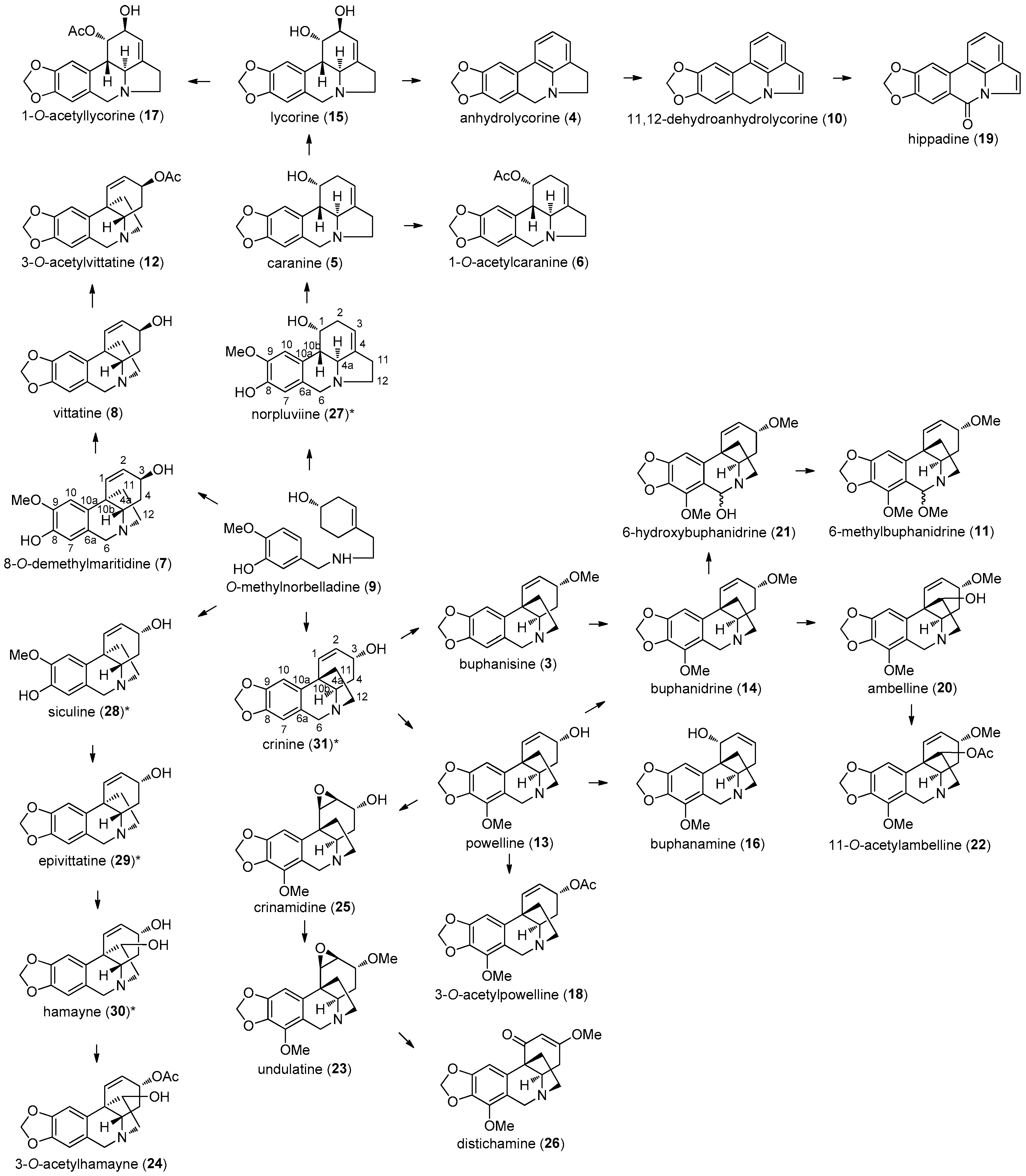 Molecules 22 01437 g001