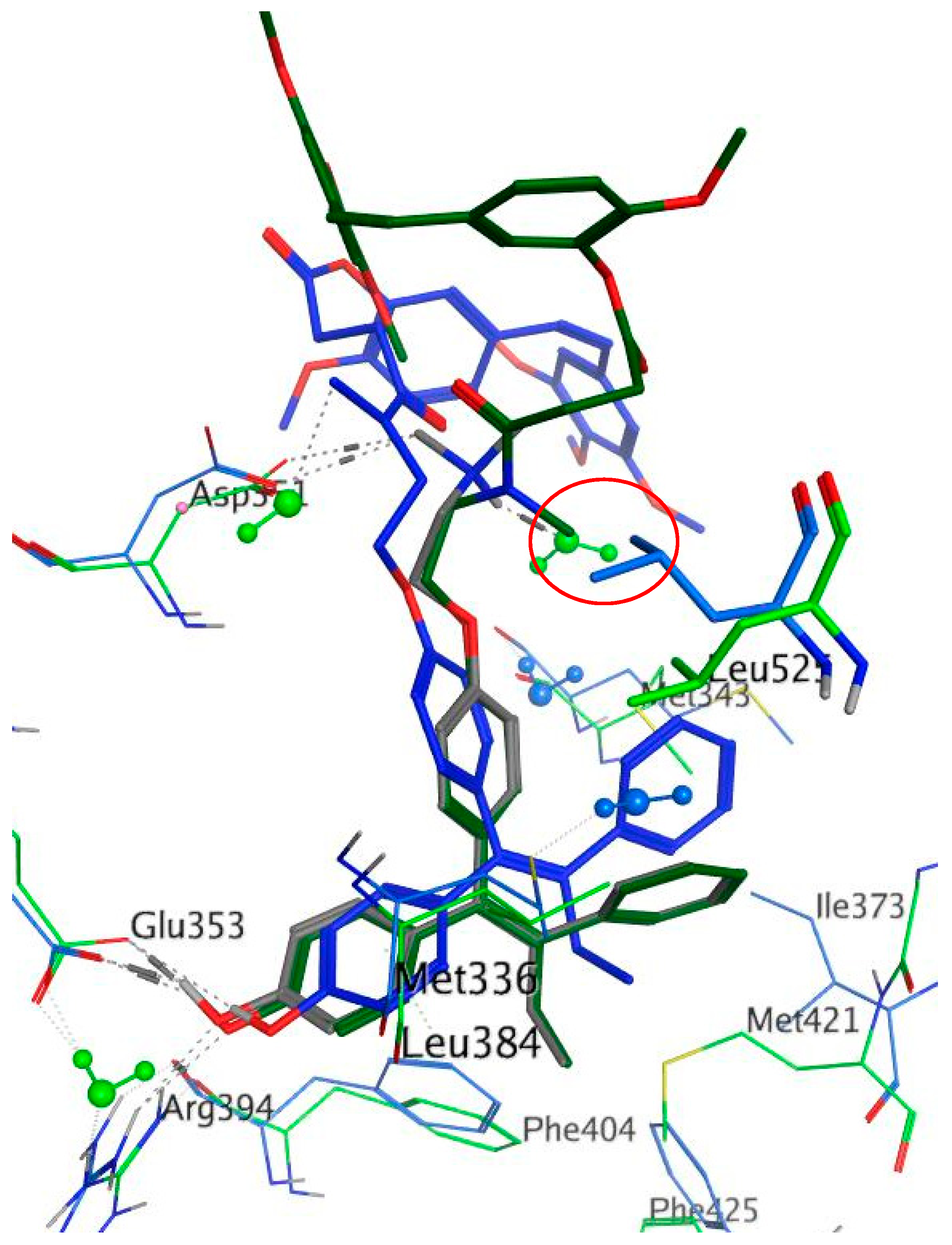 Molecules 22 01440 g005