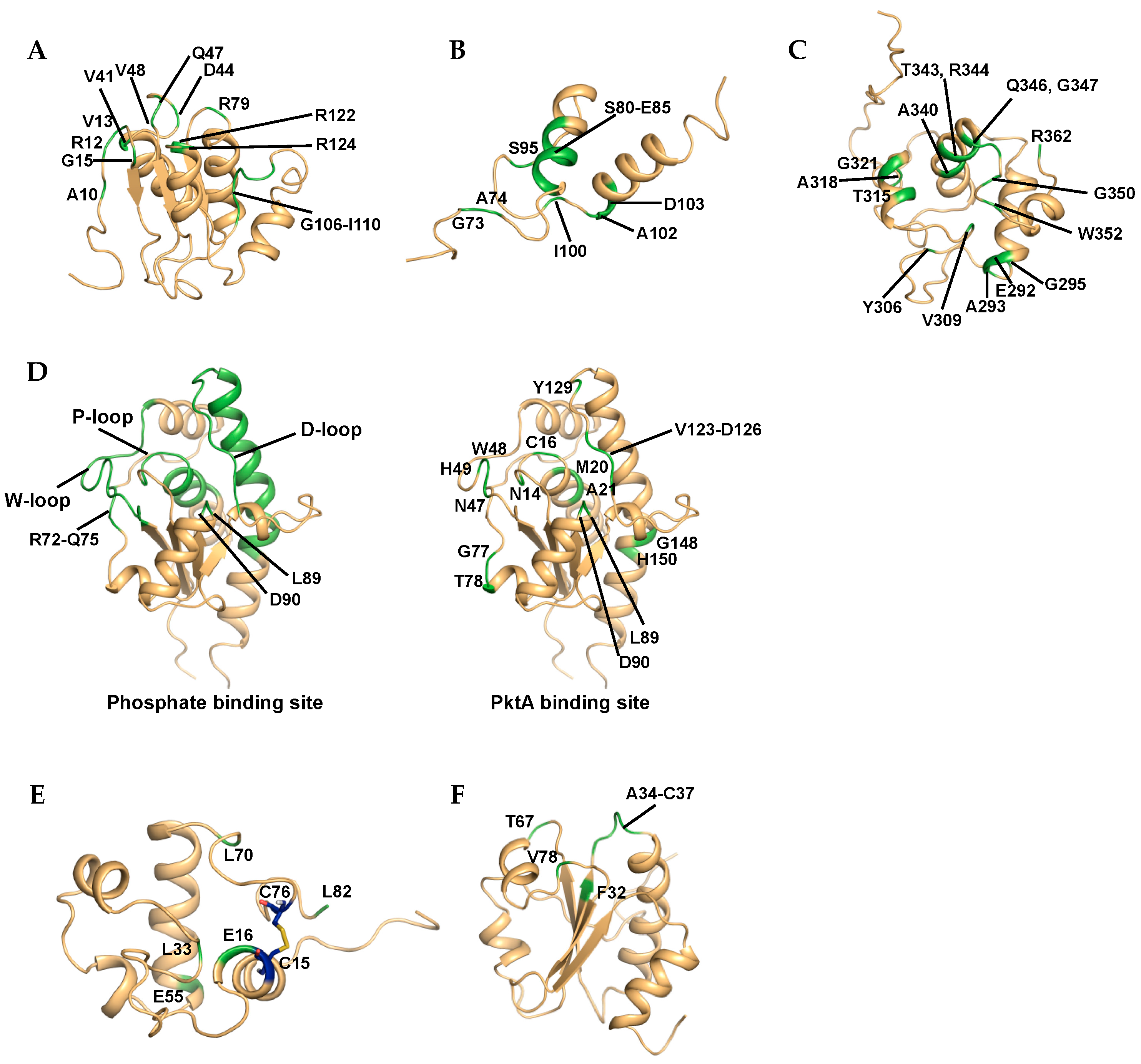 Molecules 22 01447 g003