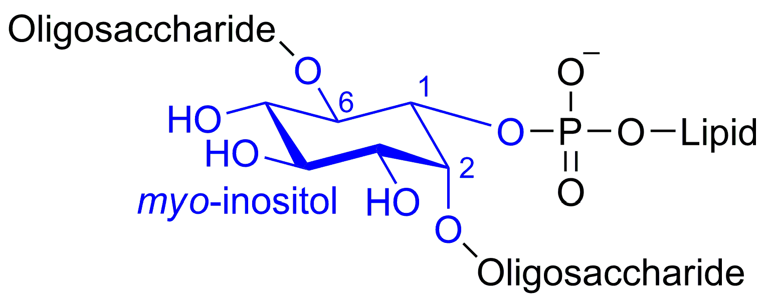 Molecules 22 01455 g001