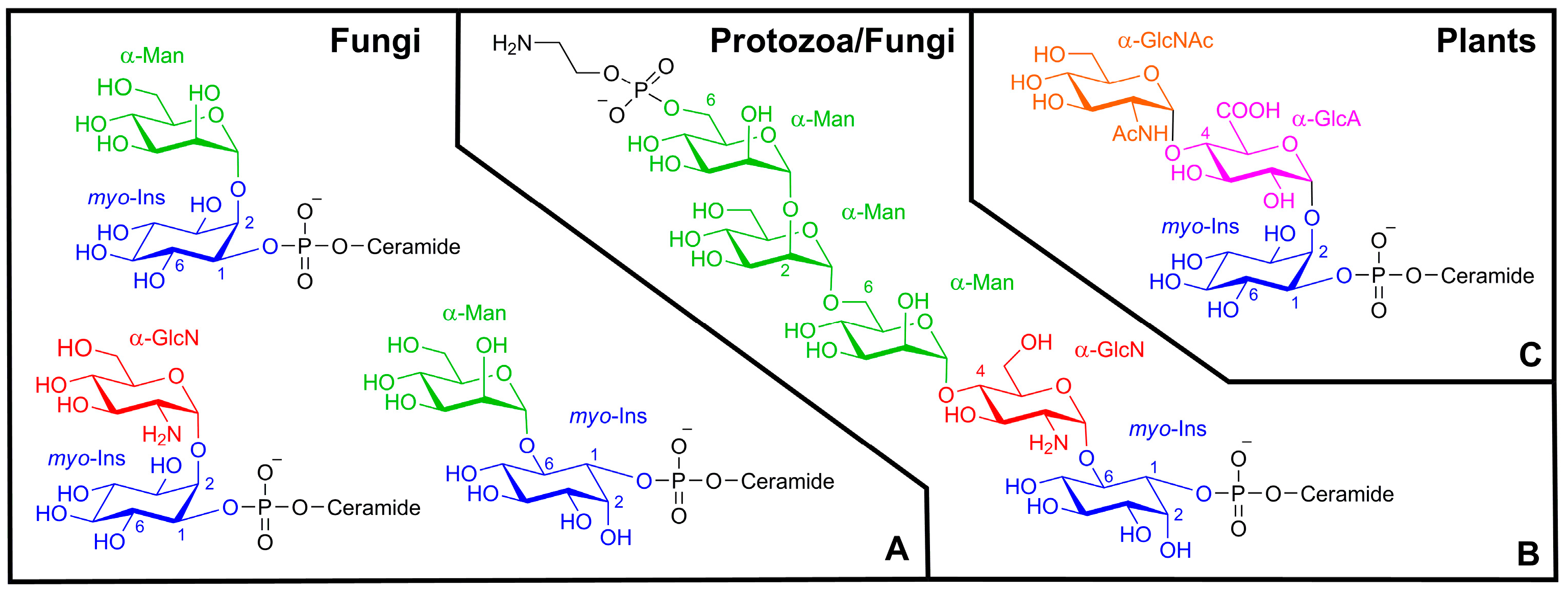 Molecules 22 01455 g003
