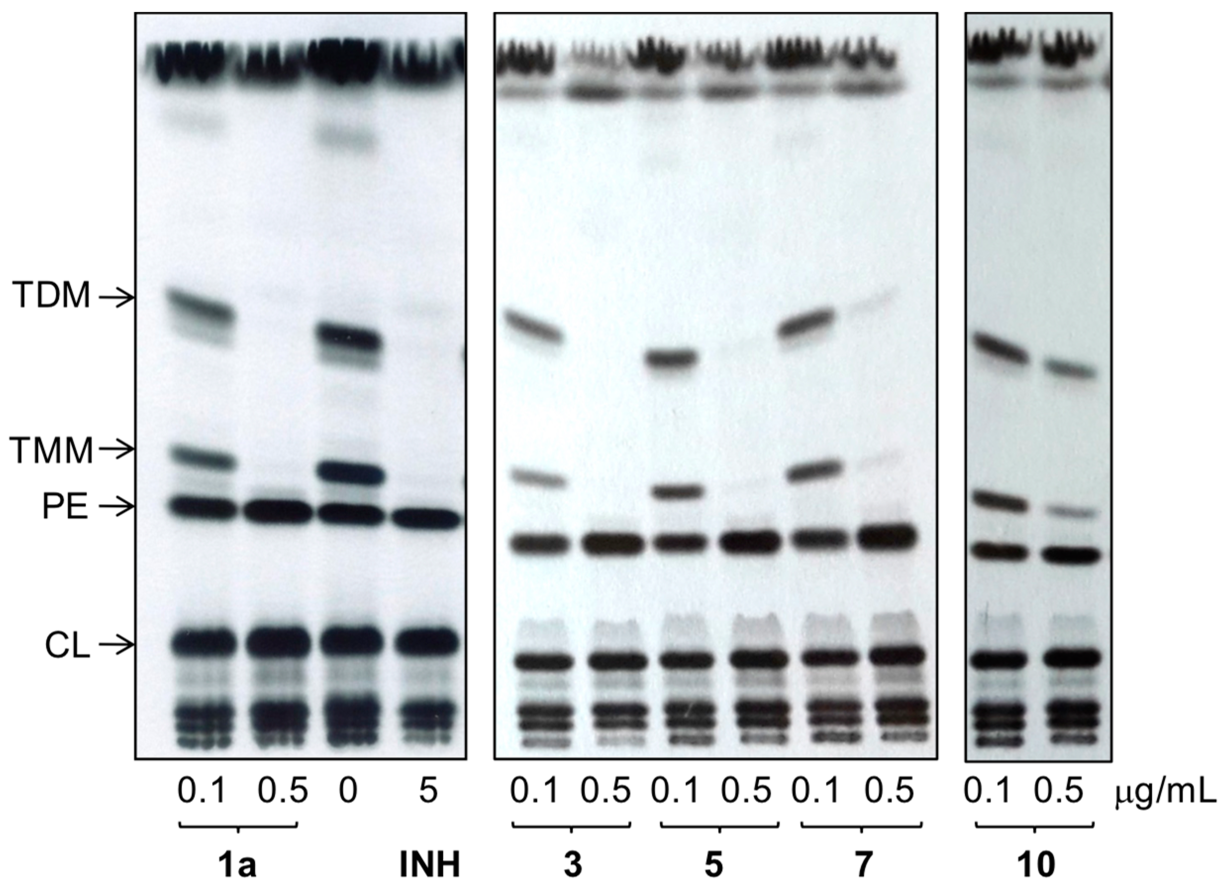 Molecules 22 01457 g006