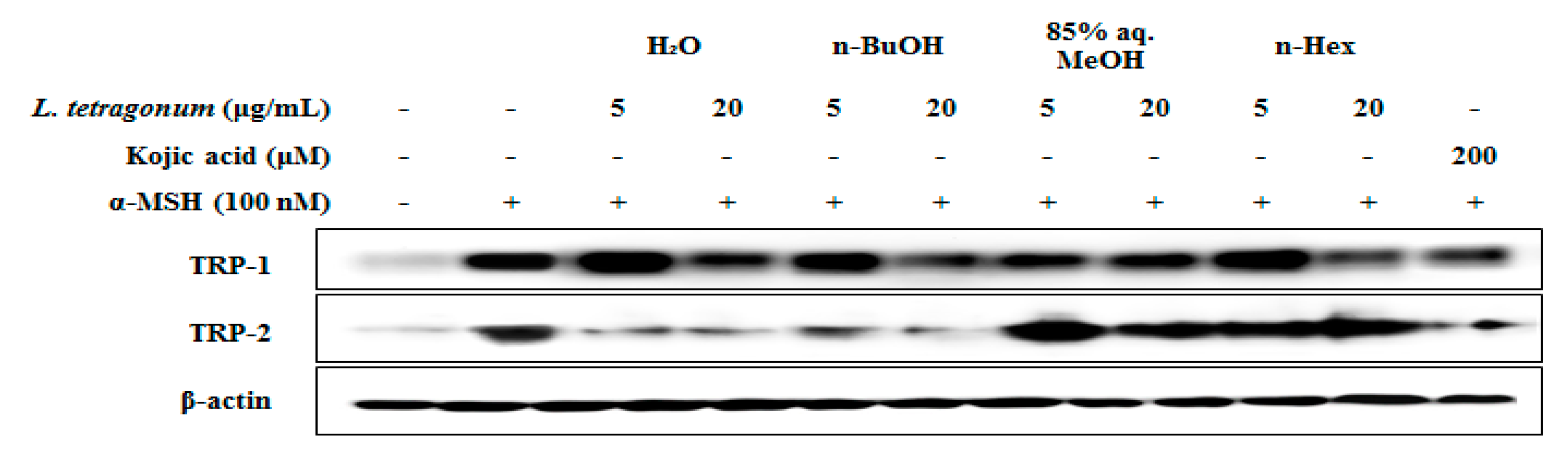 Molecules 22 01480 g004