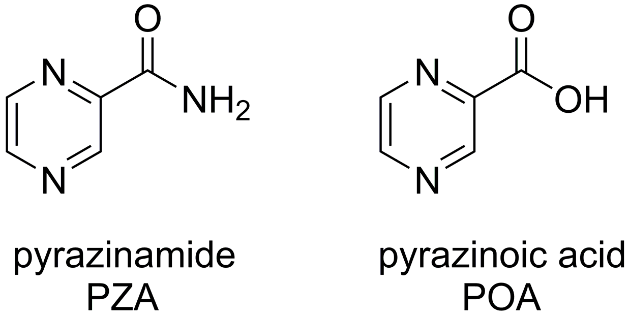 Molecules 22 01491 g001