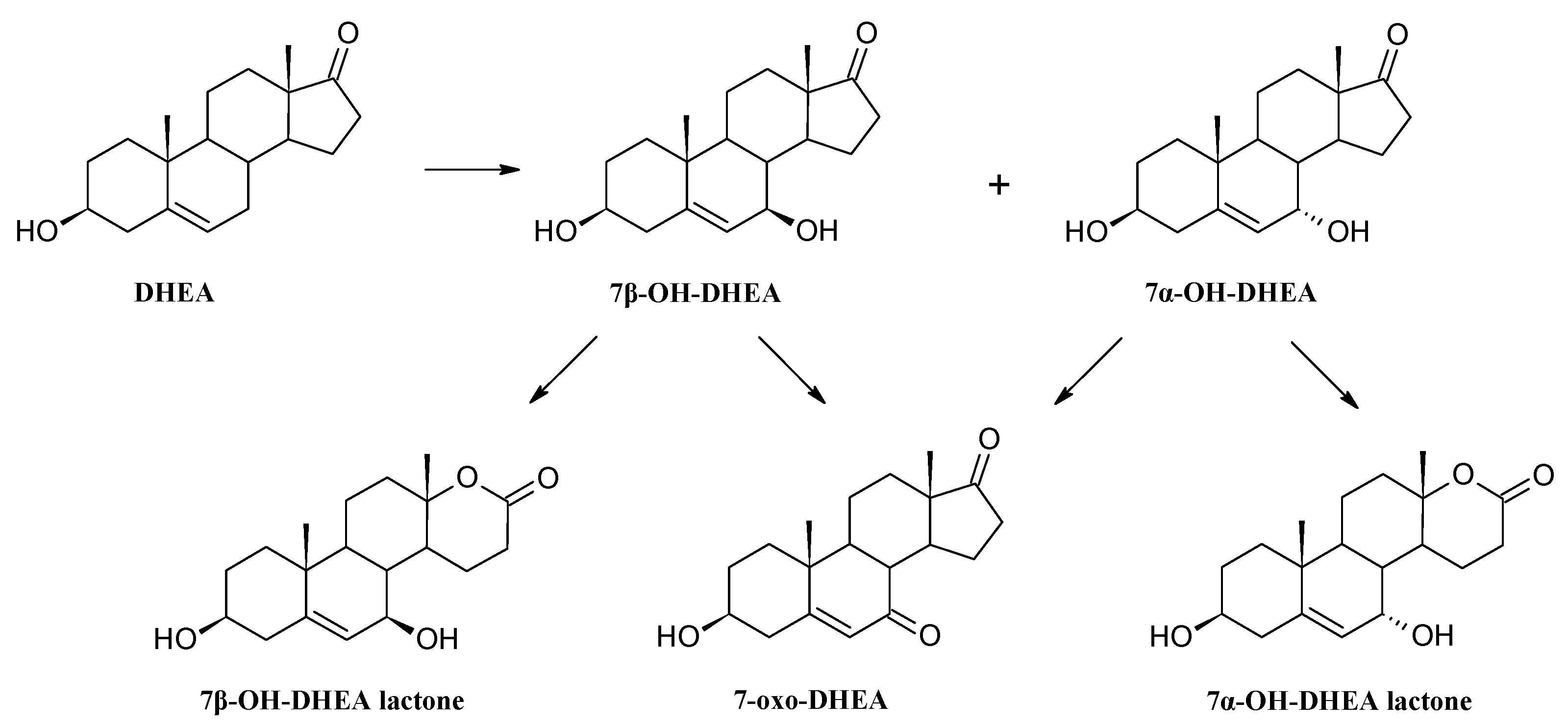 Molecules 22 01511 sch004