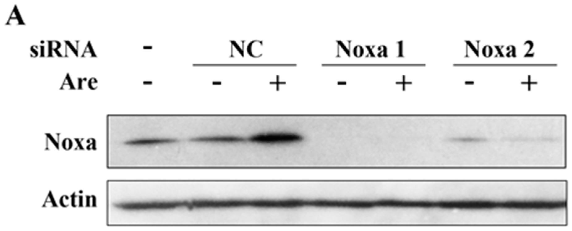 Molecules 22 01525 g004a