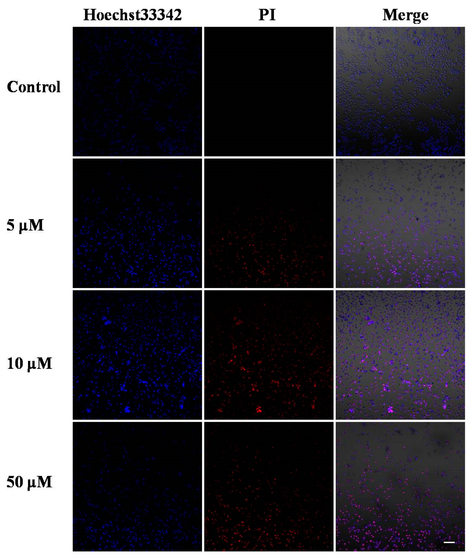 Molecules 22 01535 g002