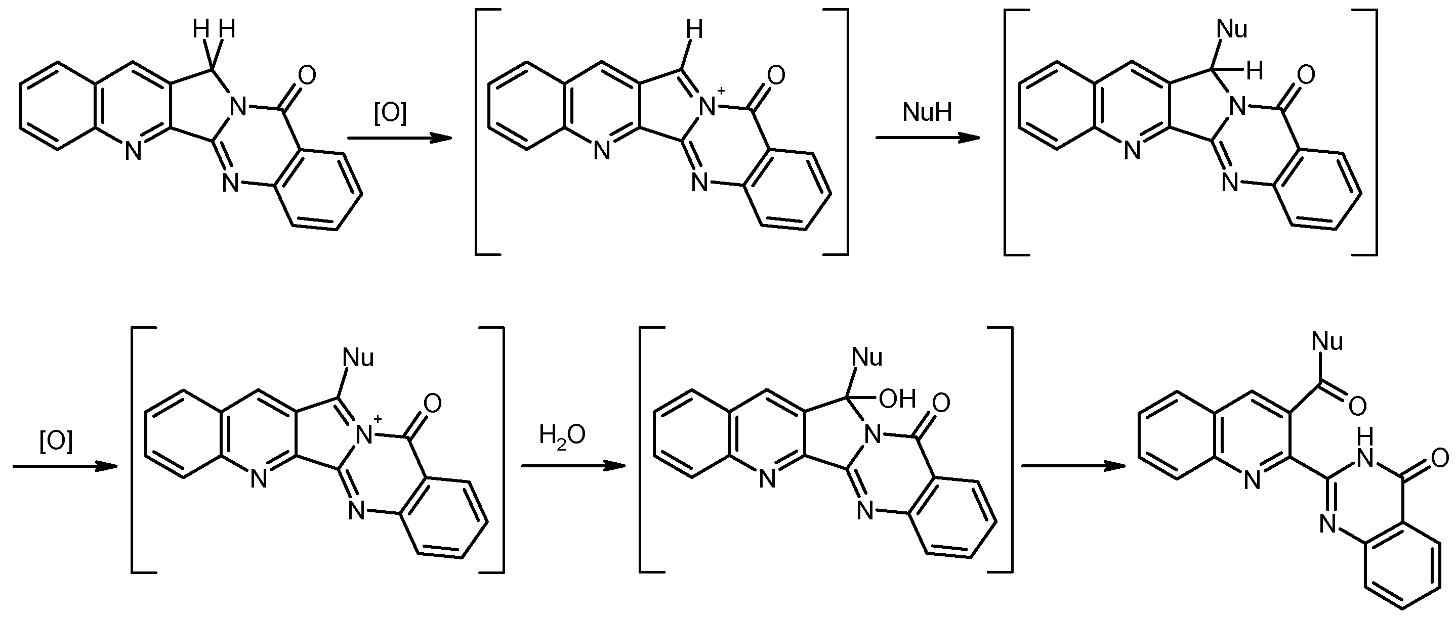 Molecules 22 01540 sch004