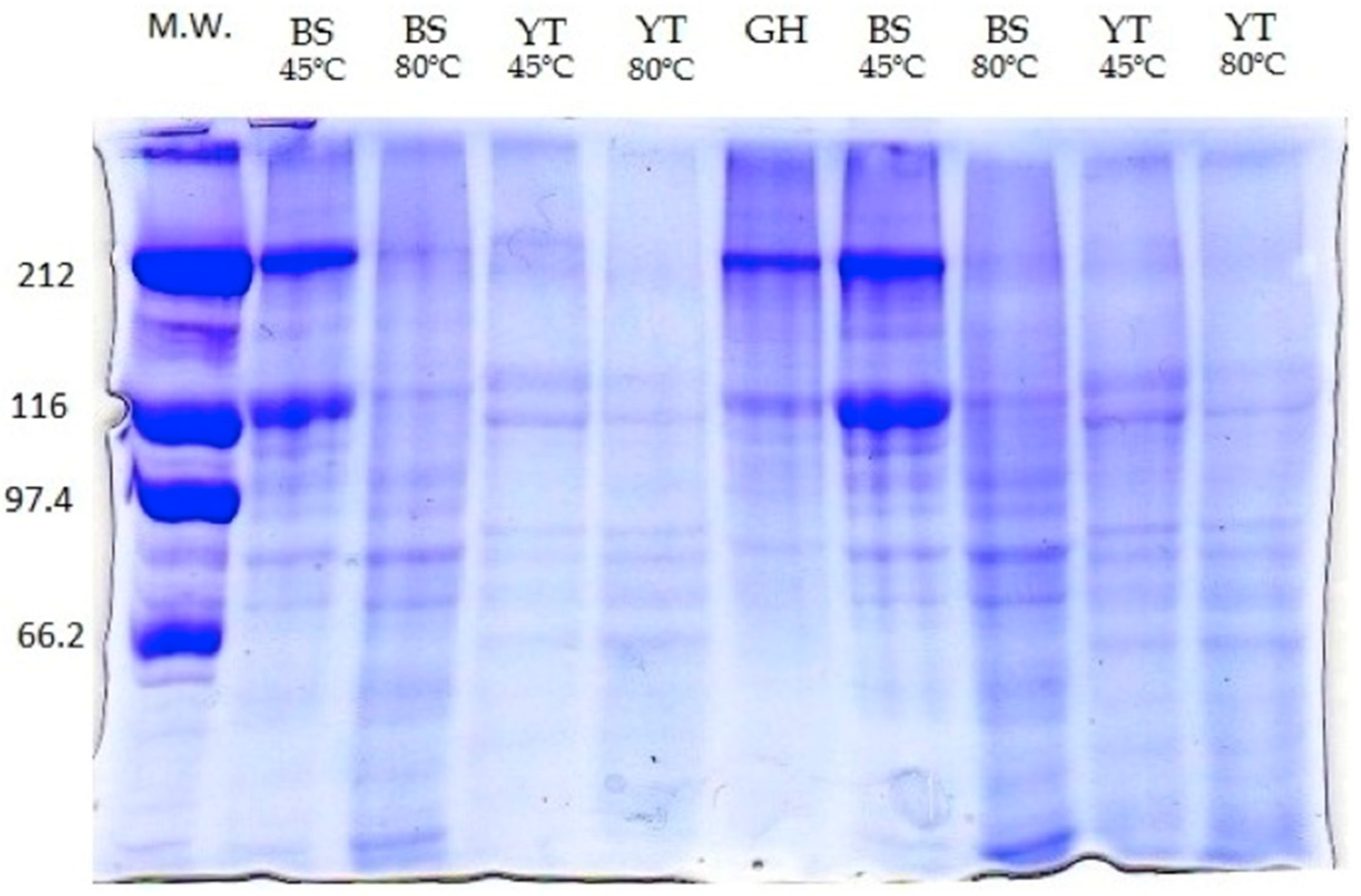 Molecules 22 01545 g002