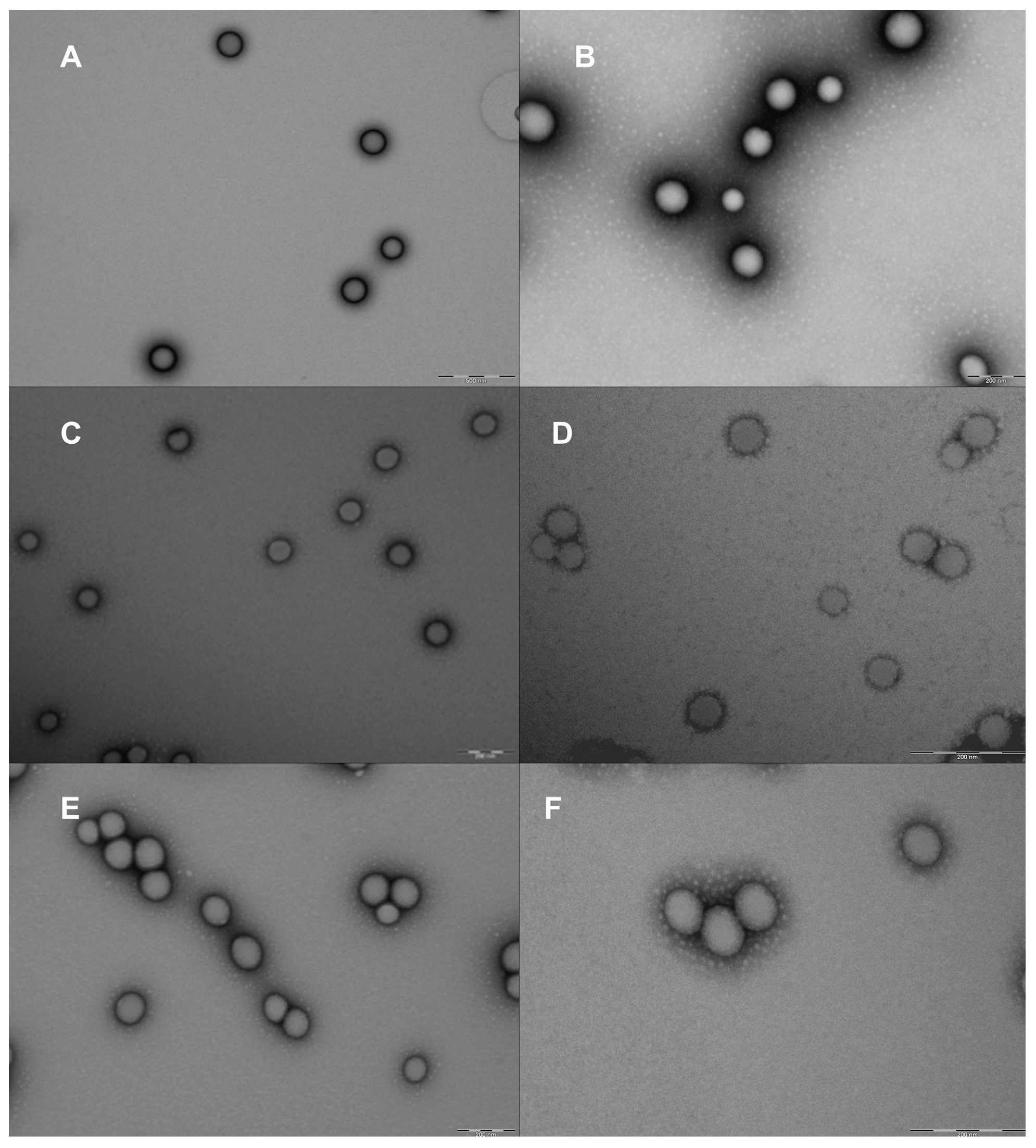 Molecules 22 01553 g003