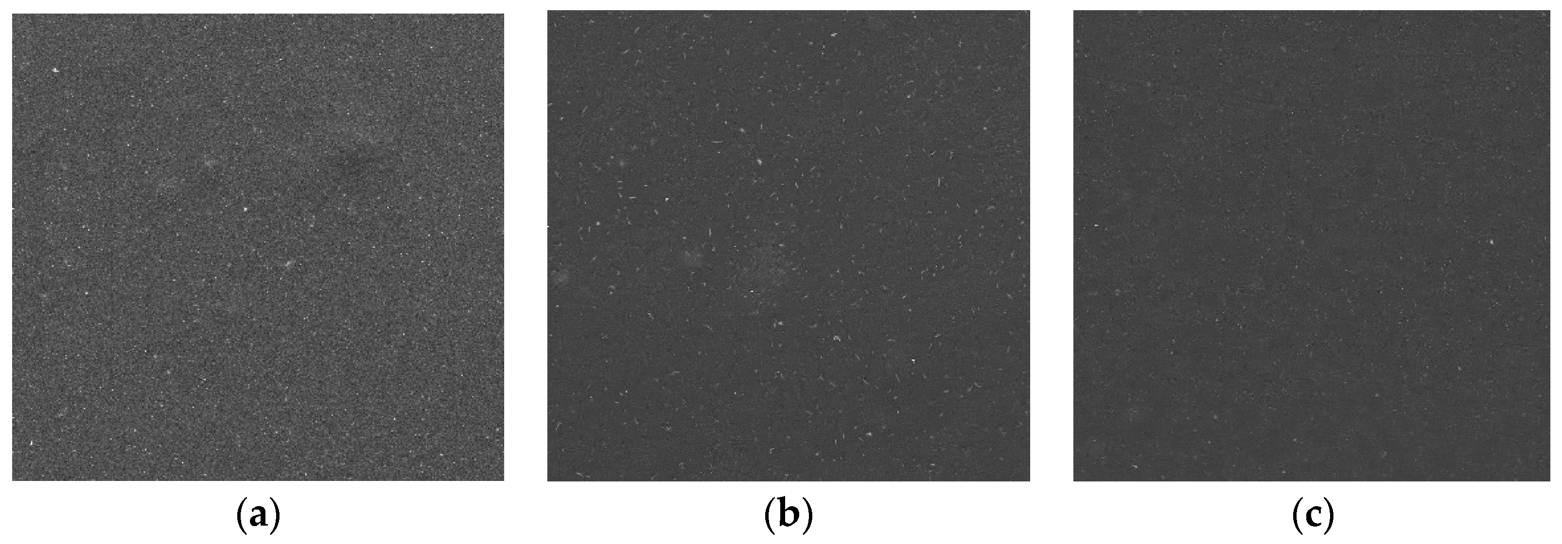 Molecules 22 01556 g007
