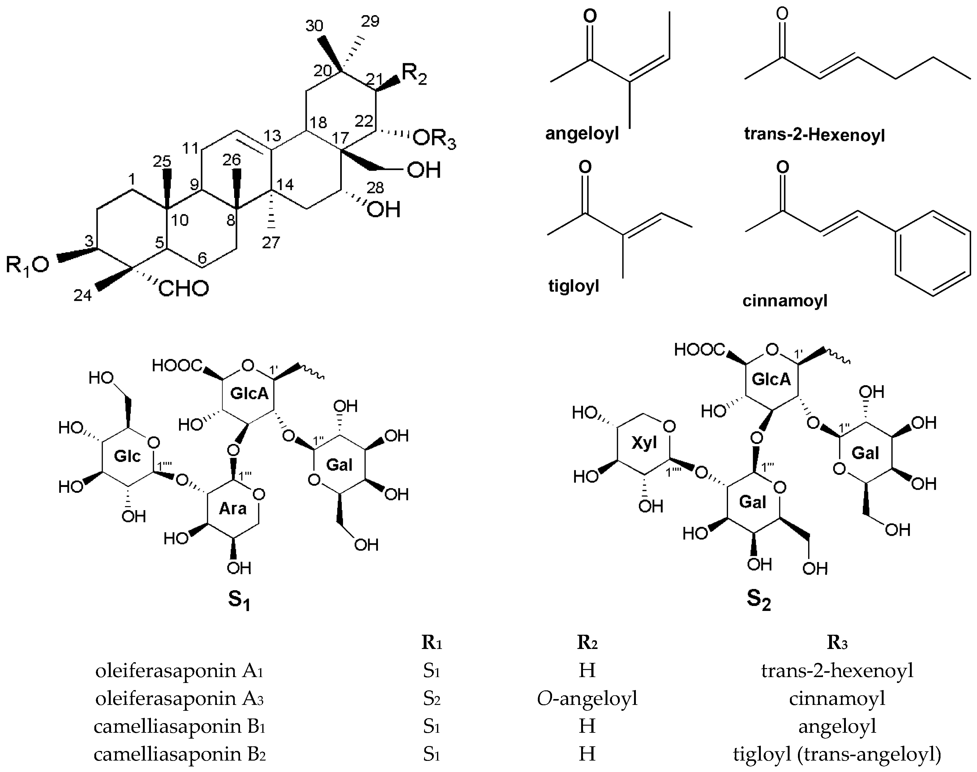 Molecules 22 01562 g001
