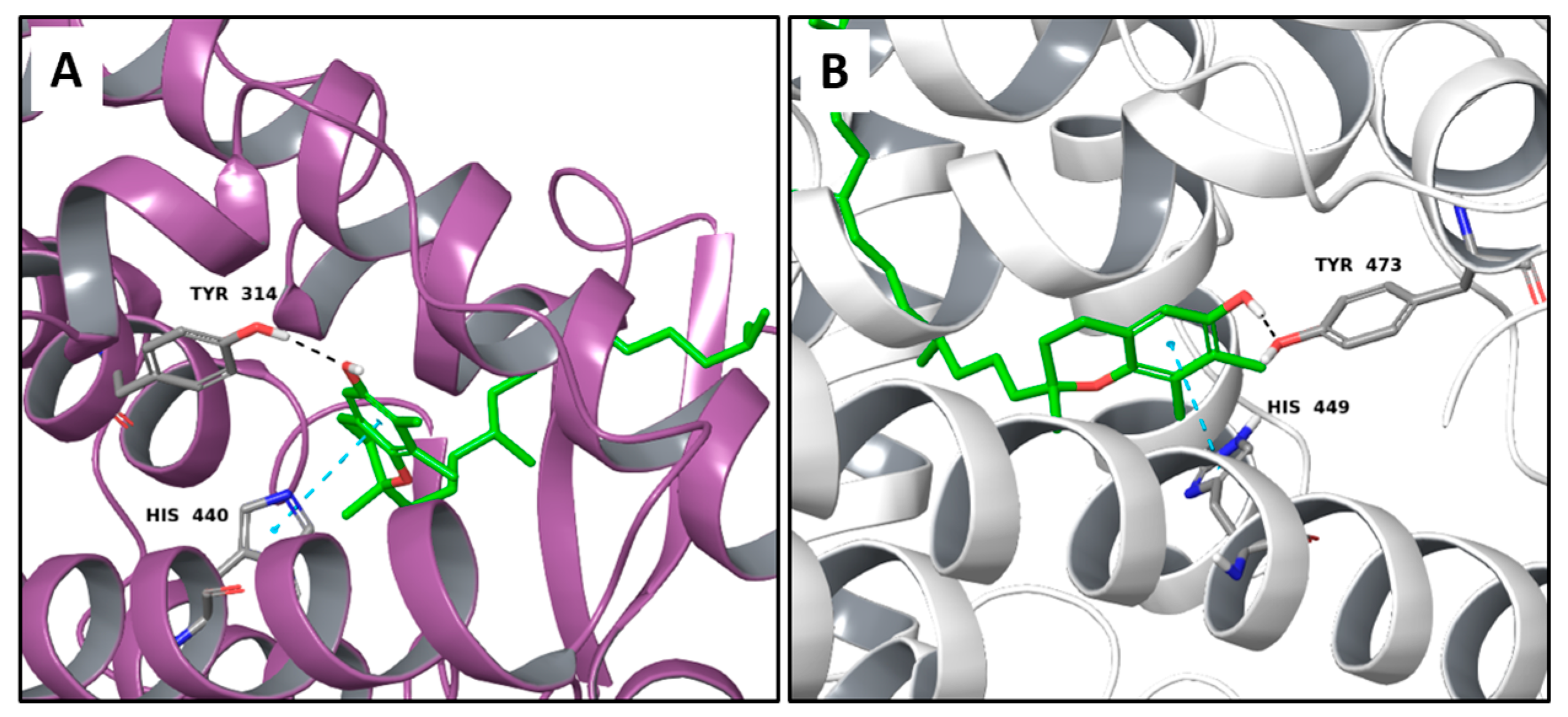 Molecules 22 01571 g009