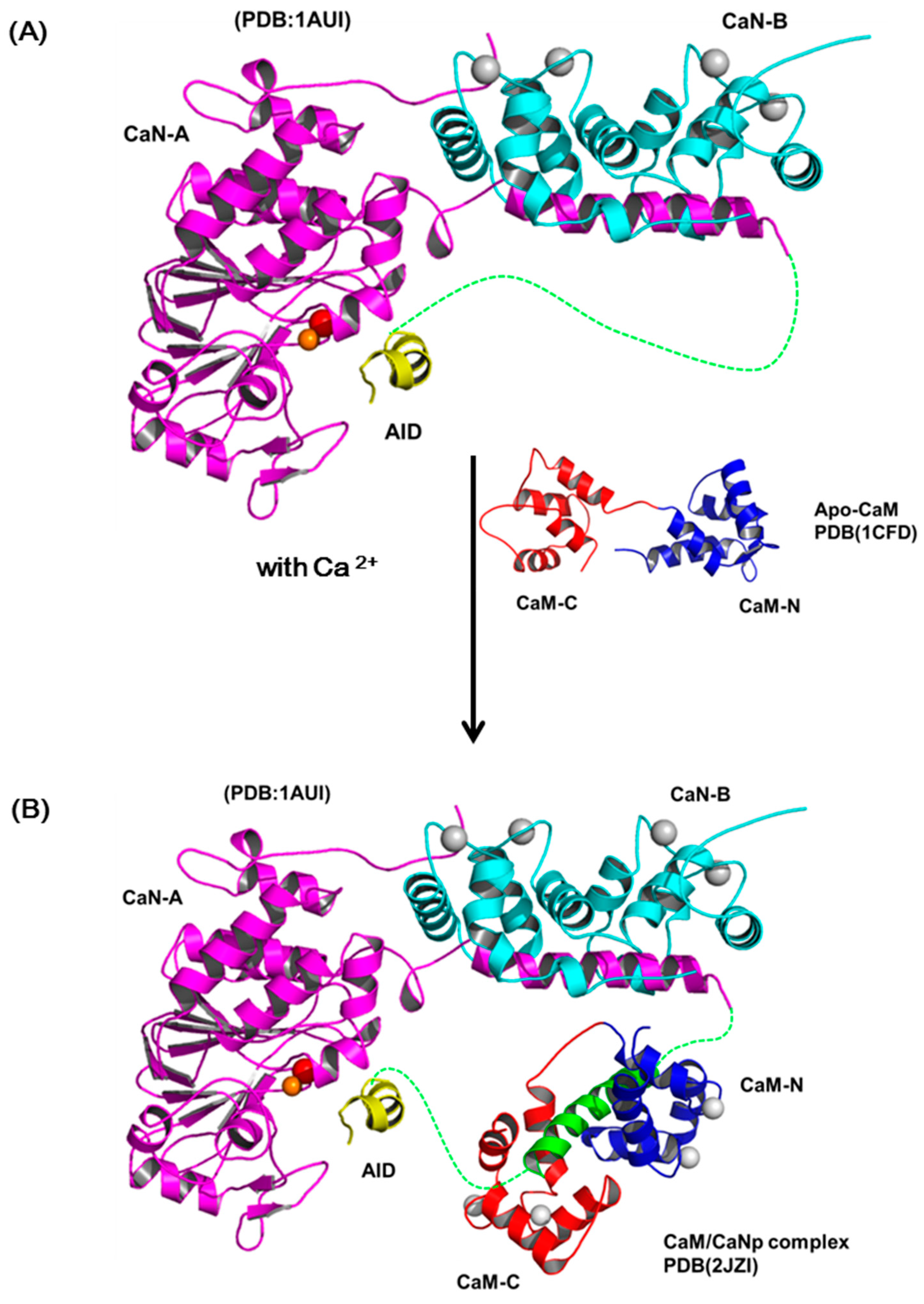 Molecules 22 01584 g008a