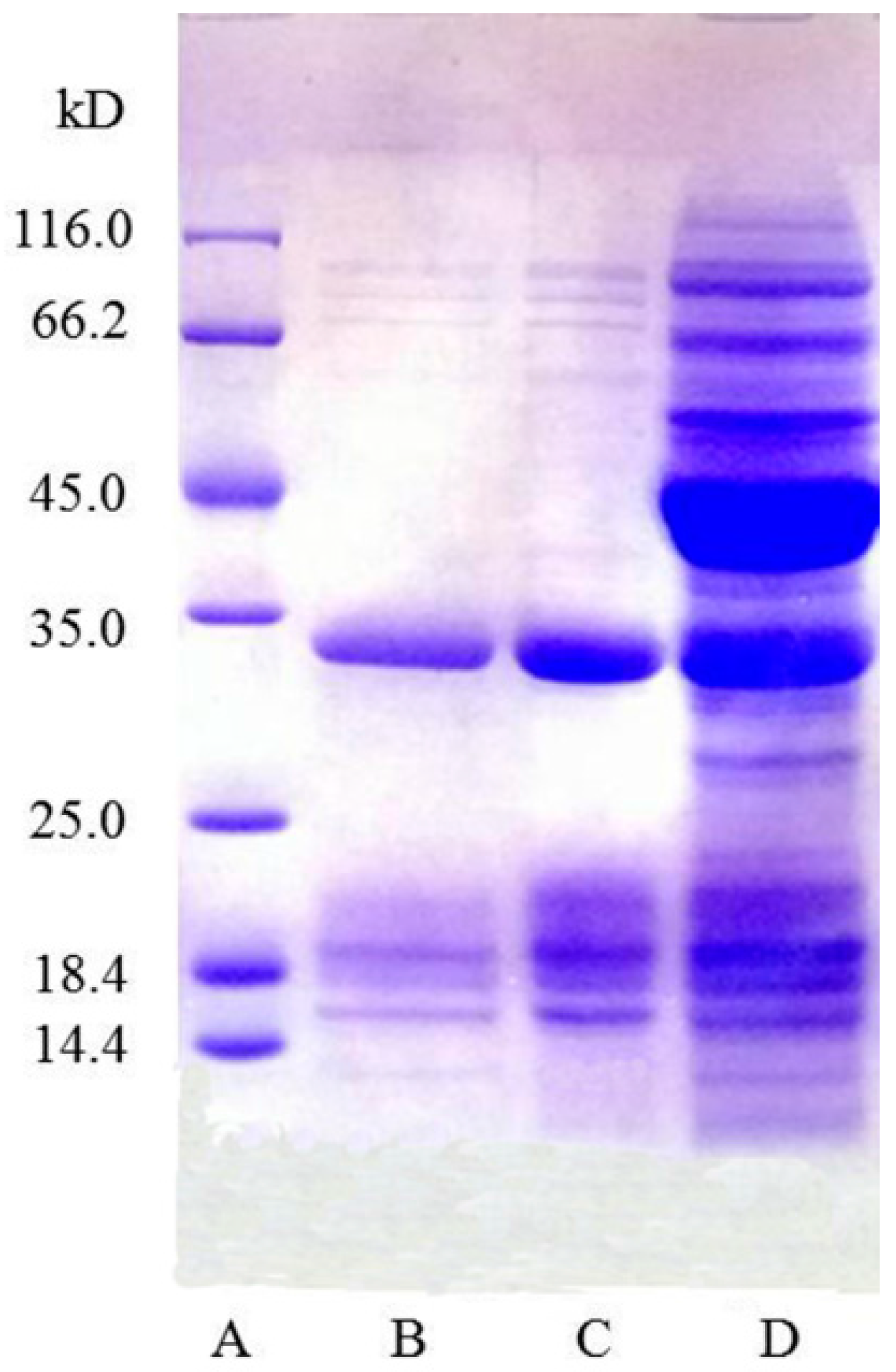 Molecules 22 01596 g003