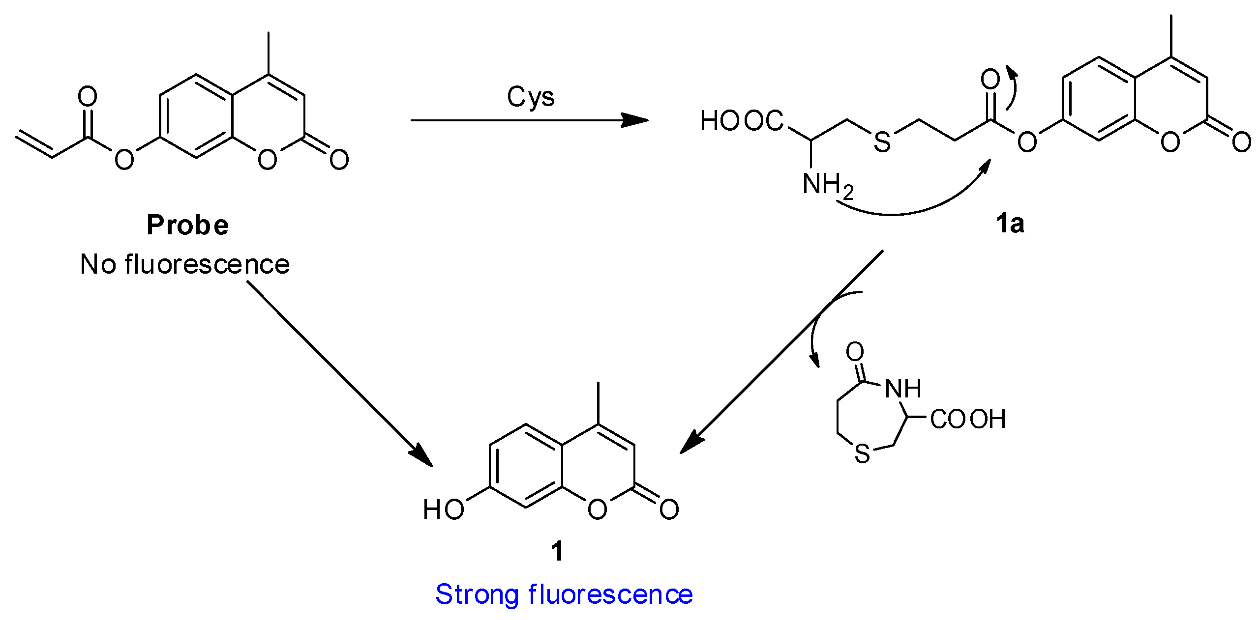 Molecules 22 01618 sch002