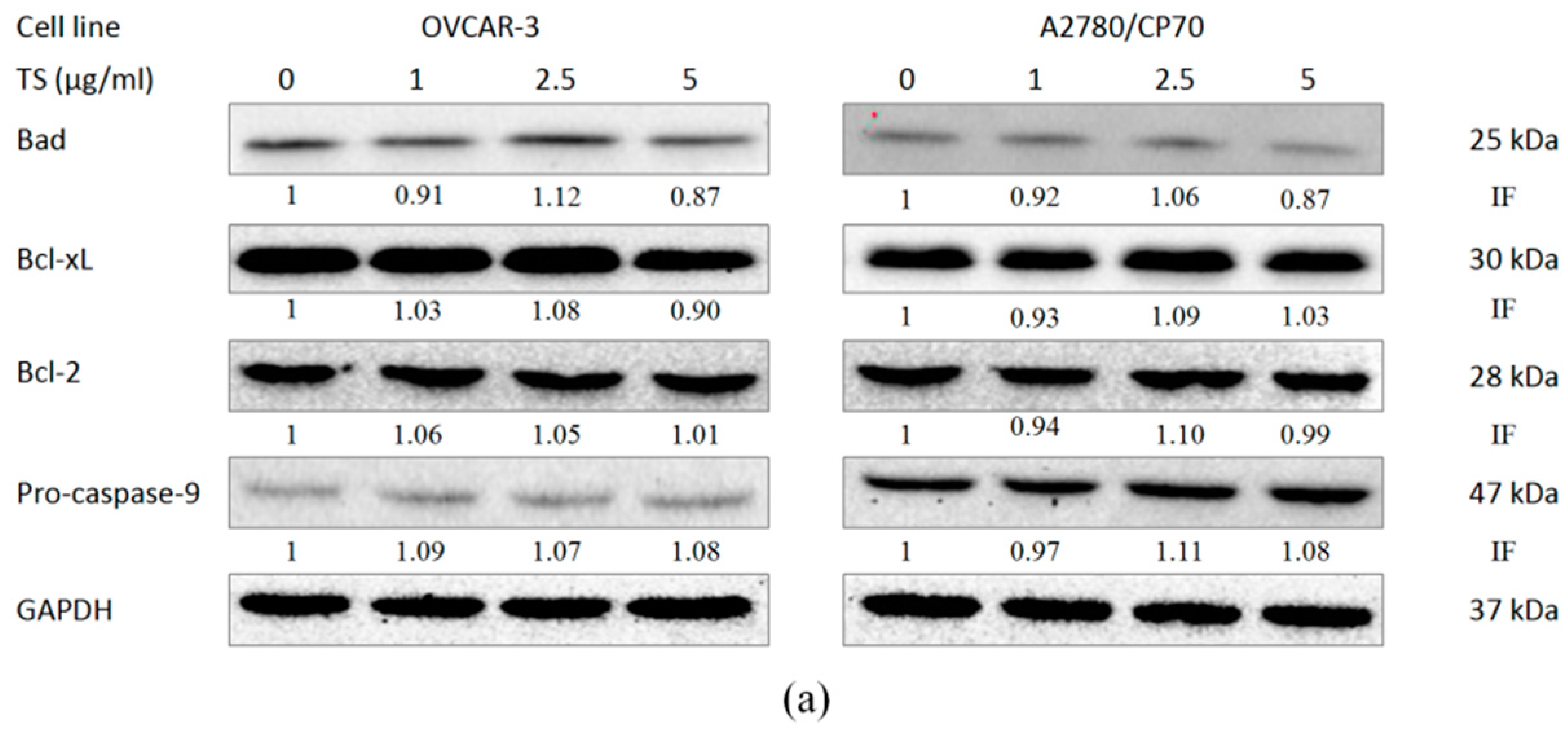 Molecules 22 01649 g004a