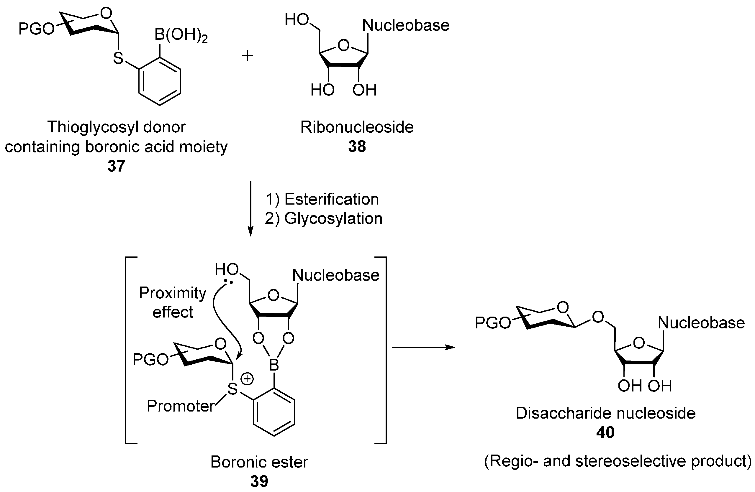 Molecules 22 01650 g002